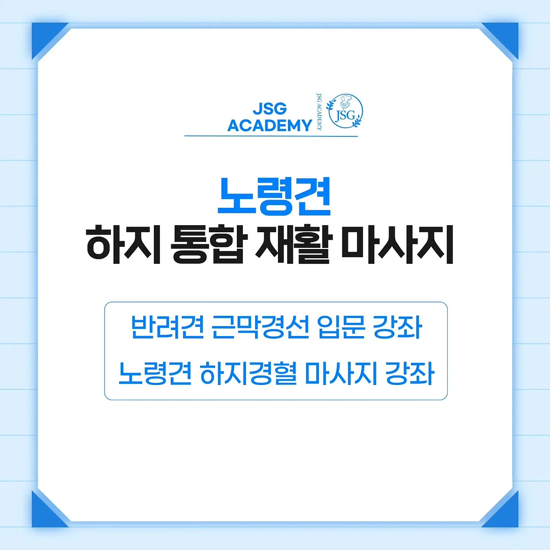 합사실 패키지 1