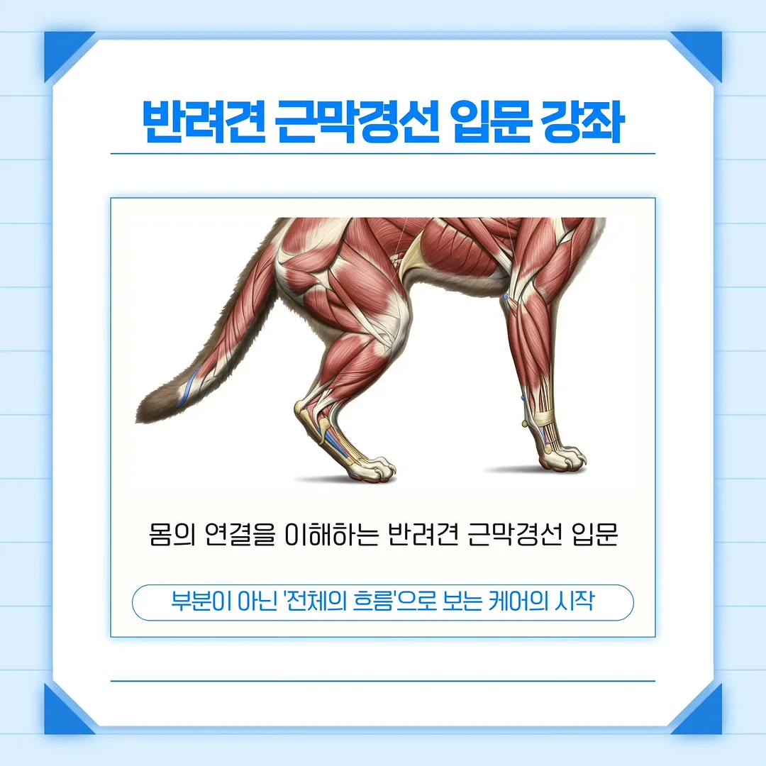 합사실 패키지 2