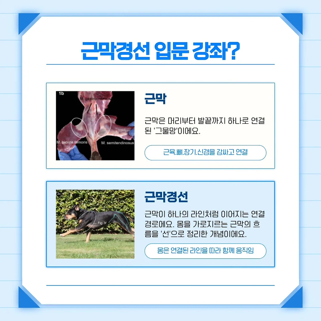 합사실 패키지 3