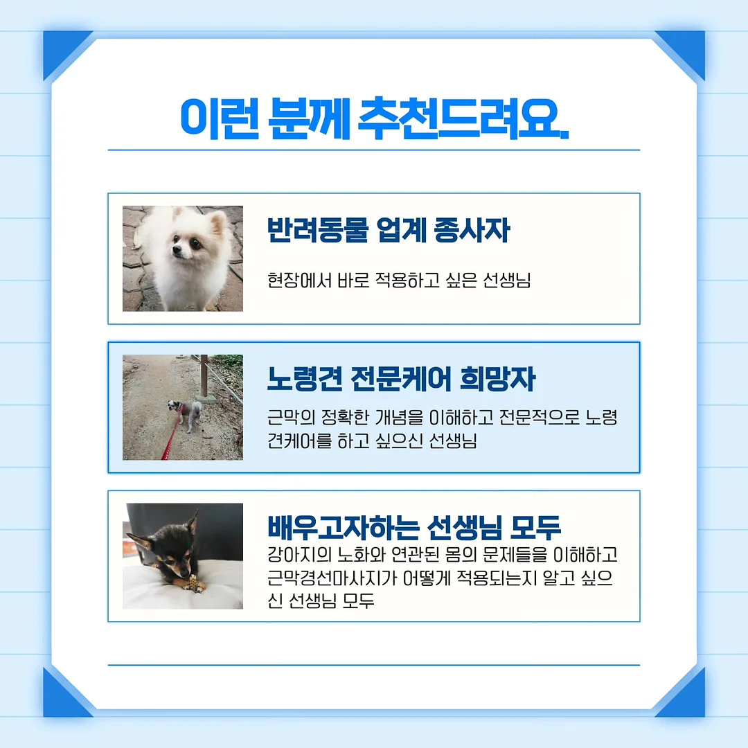 합사실 패키지 4