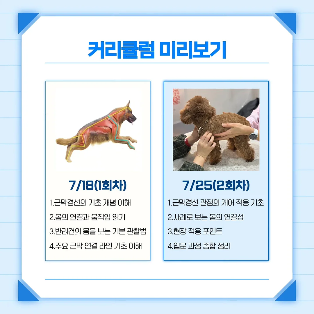 합사실 패키지 5