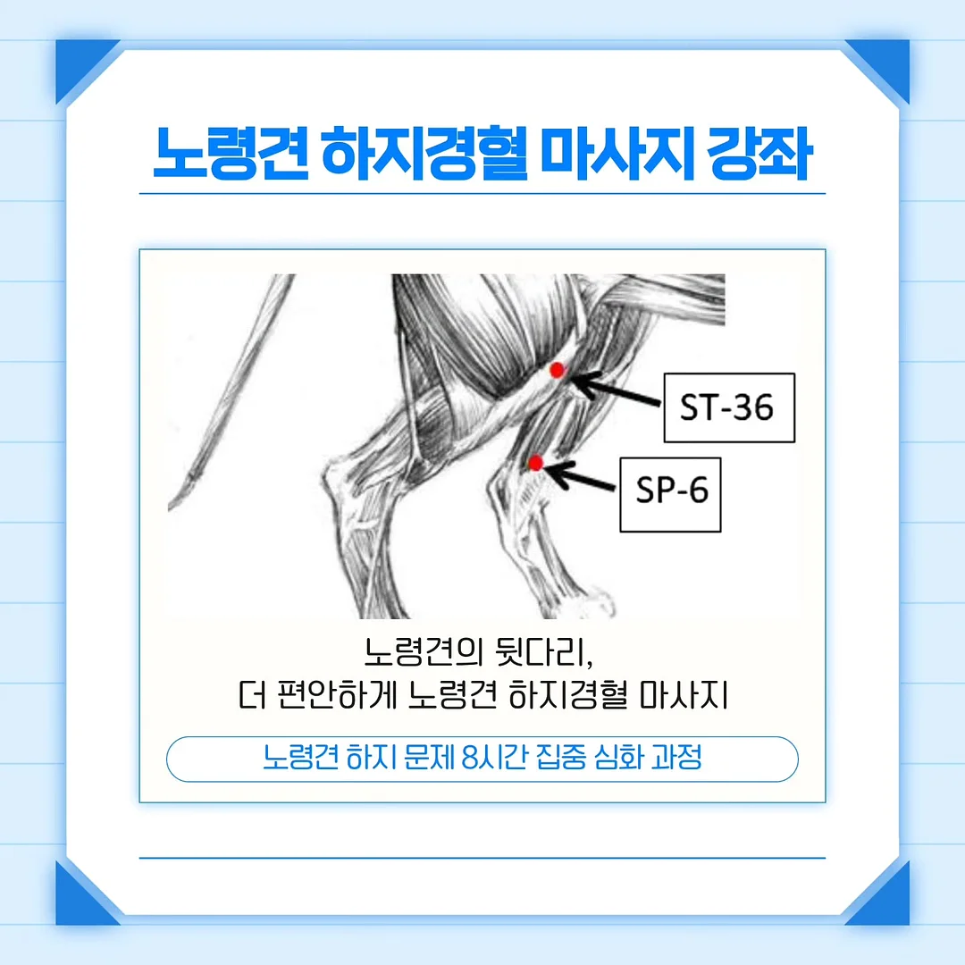 합사실 패키지 6