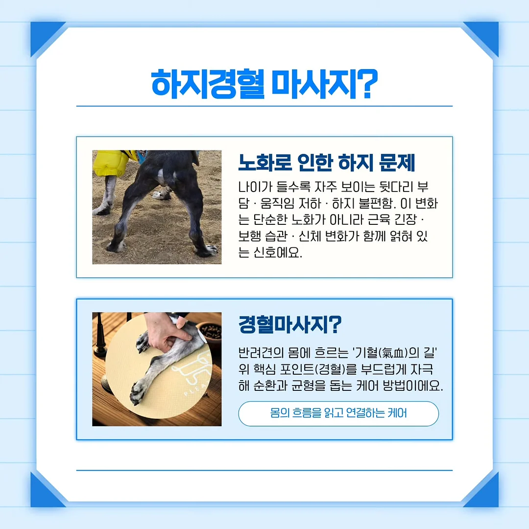 합사실 패키지 7