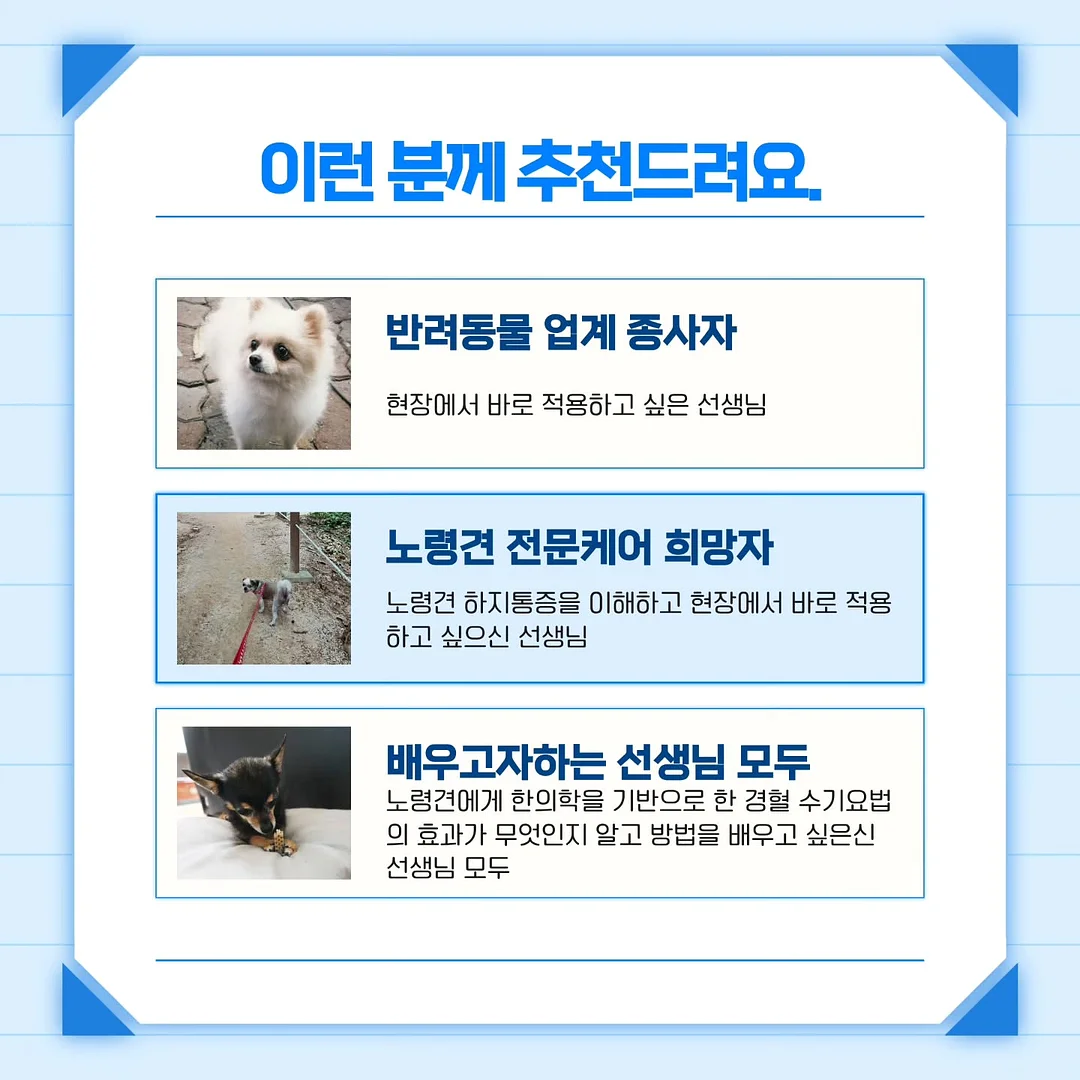 합사실 패키지 8