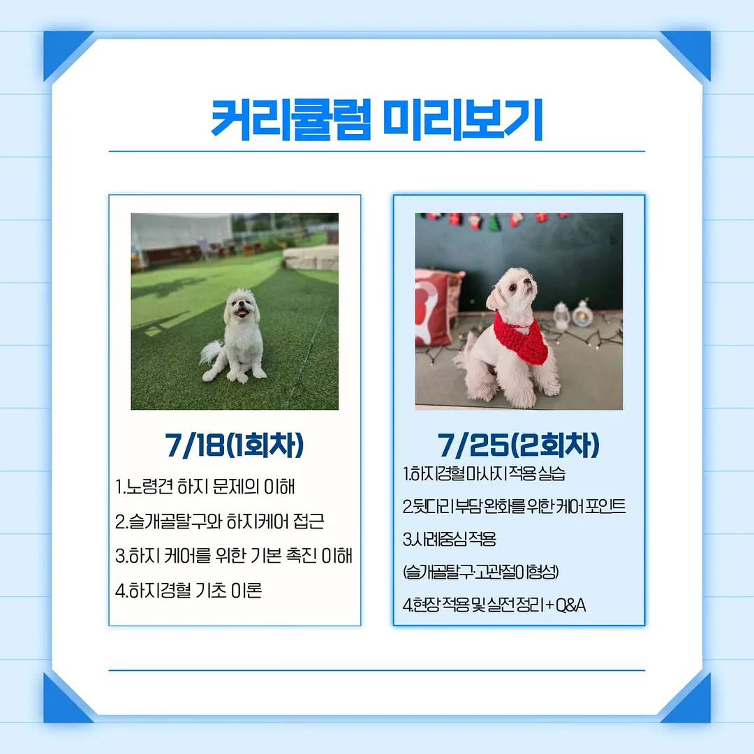합사실 패키지 9