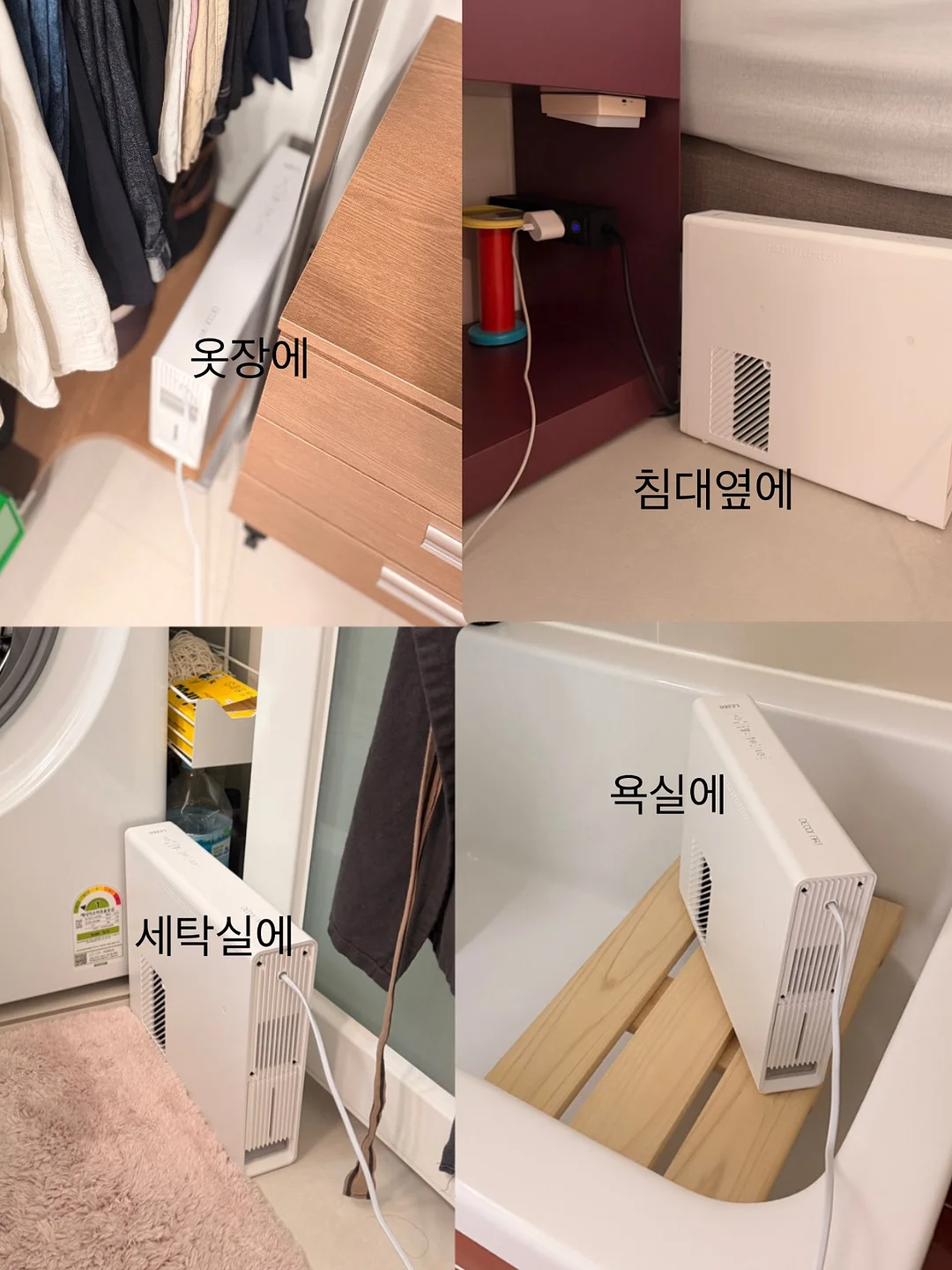 더달당 타이벡 감귤 4