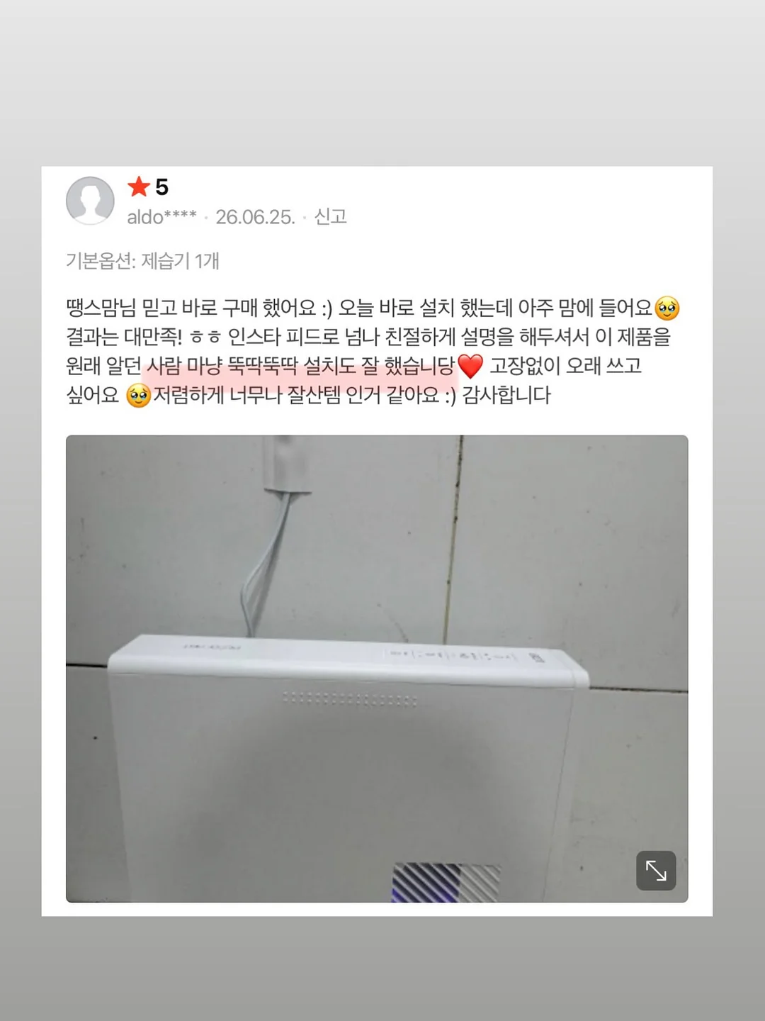 더달당 타이벡 감귤 7