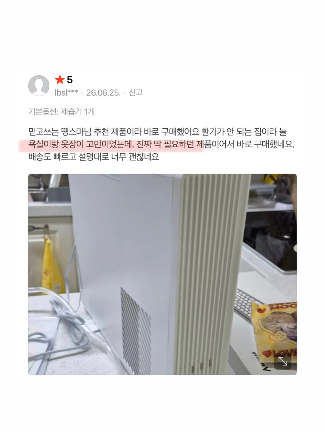 더달당 타이벡 감귤 8