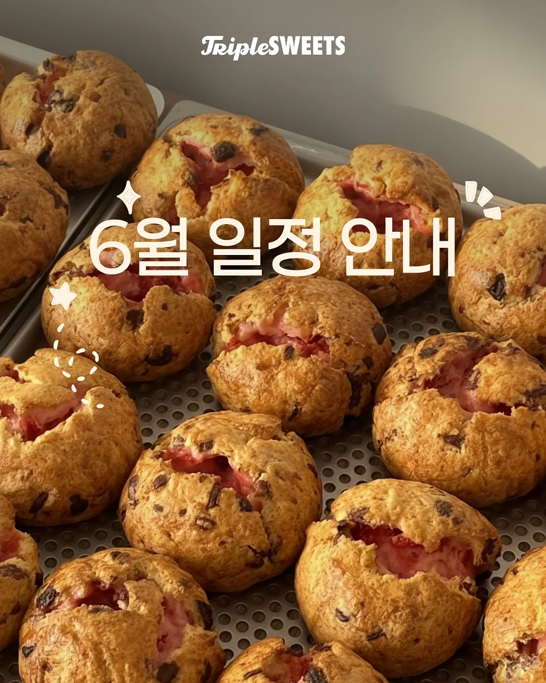 하트호야 1