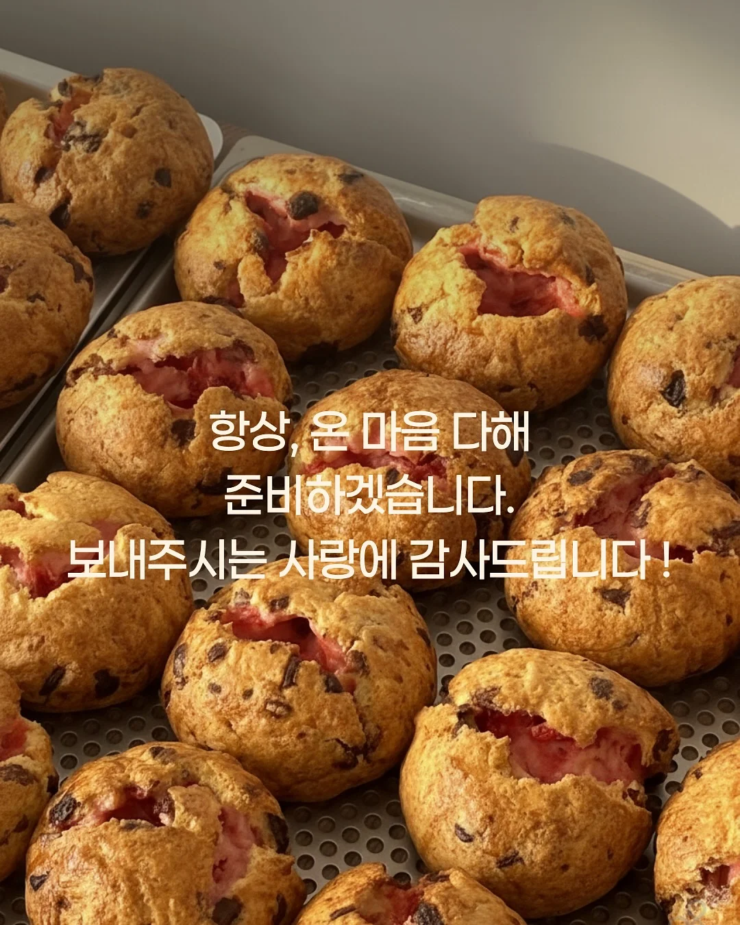 하트호야 4