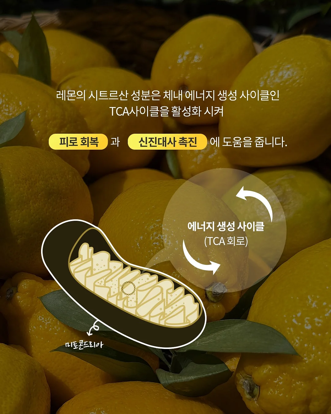 야옹플리츠 끈나시 세트 (맘커플룩) 14