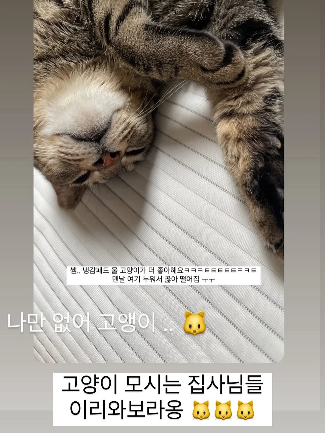 마르쉐백 패키지 12