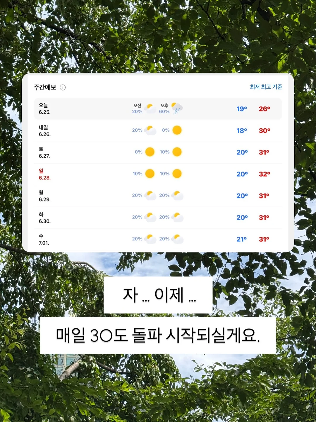마르쉐백 패키지 3
