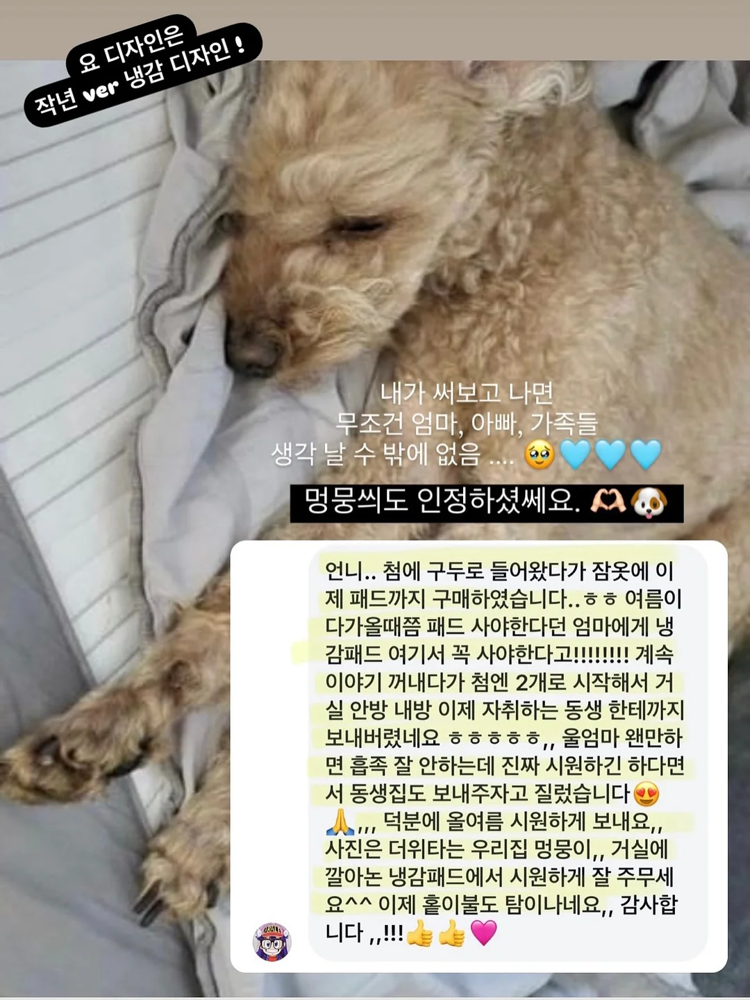마르쉐백 패키지 10