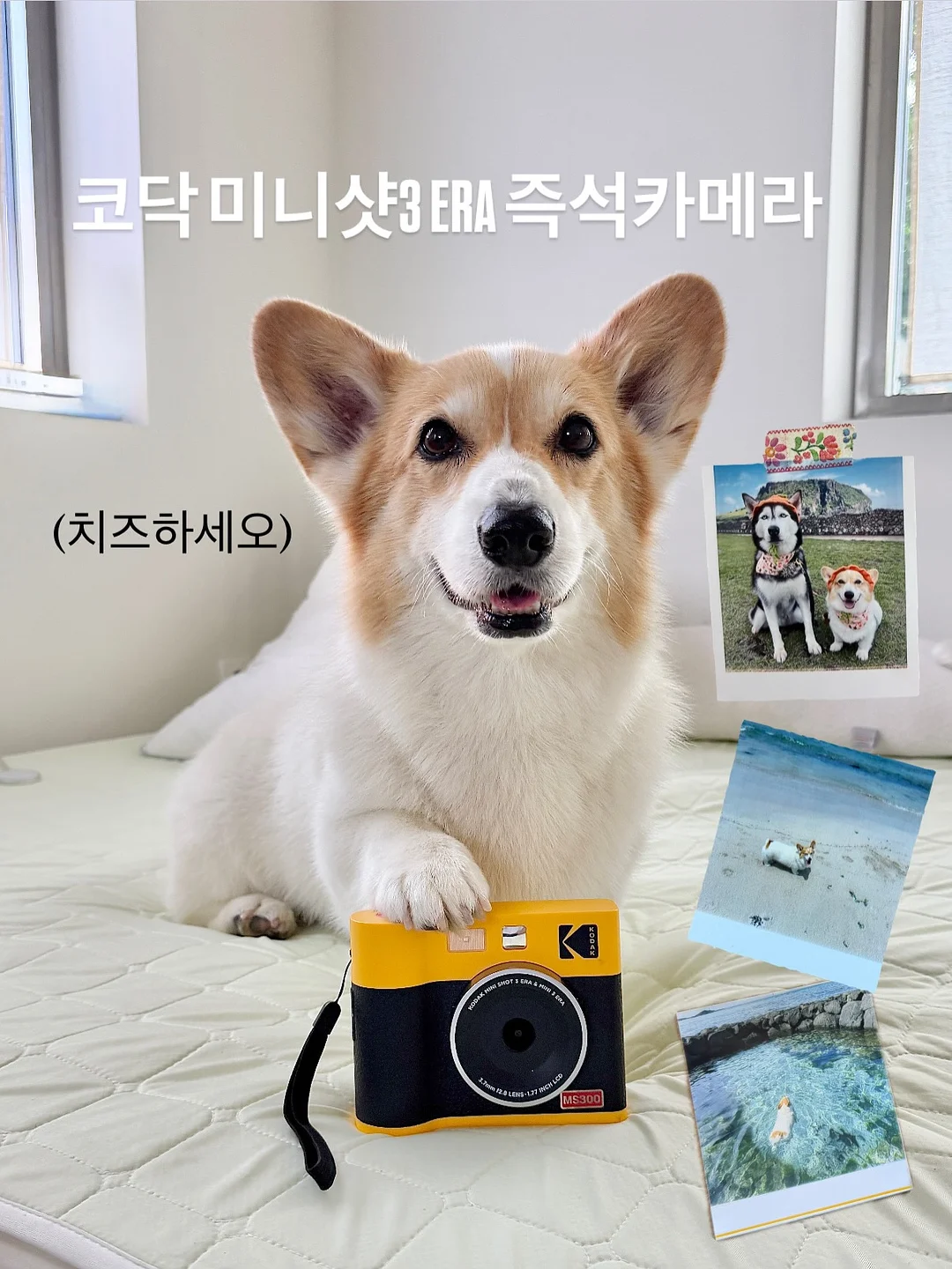 어리조 썸머패치숏팬츠 1