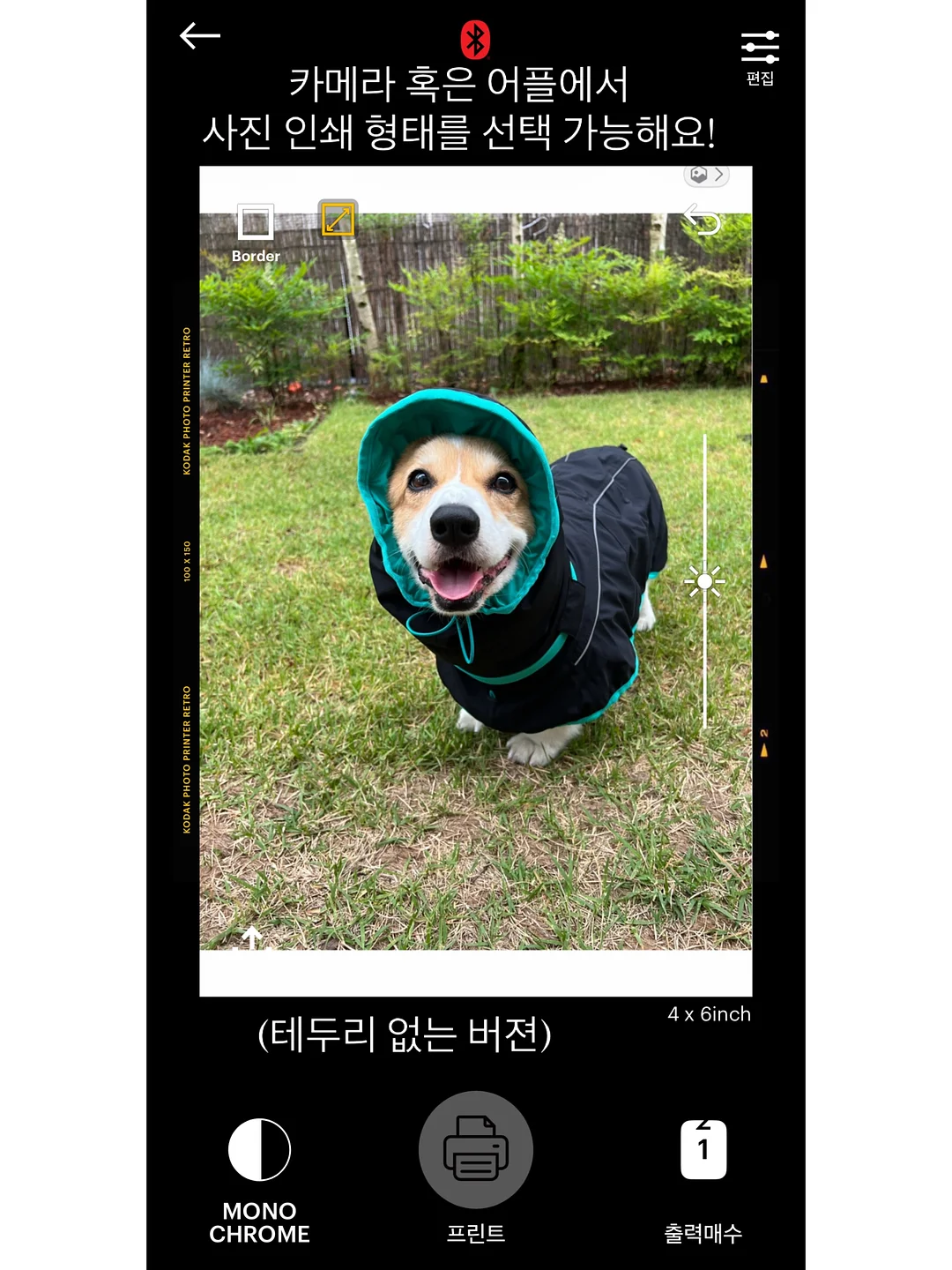 어리조 썸머패치숏팬츠 13