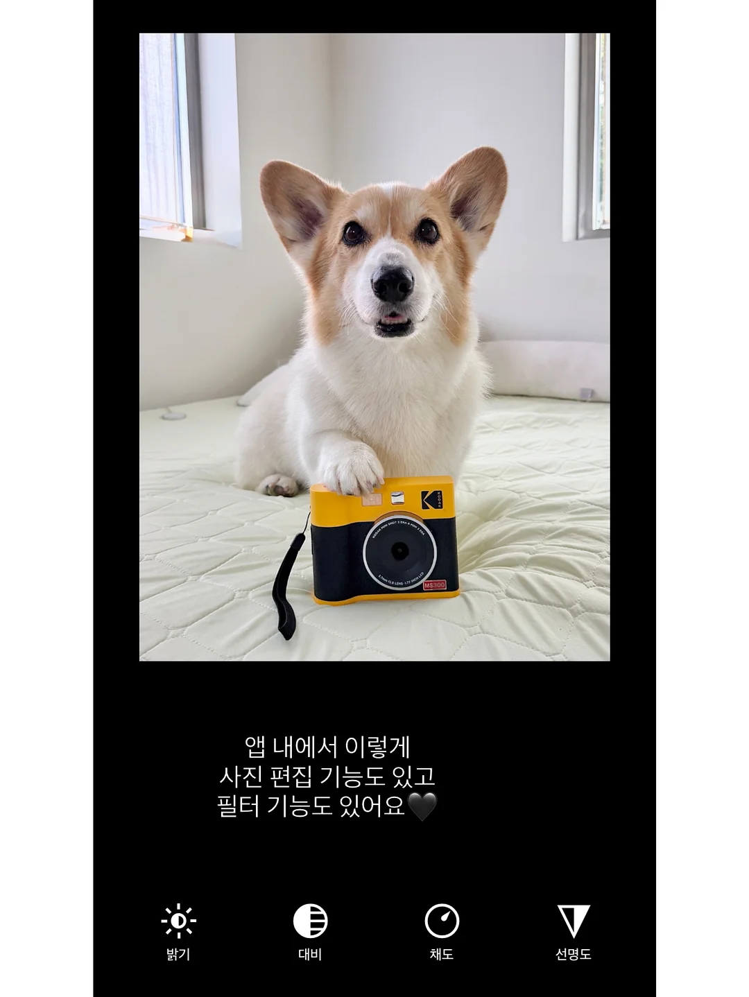 어리조 썸머패치숏팬츠 15