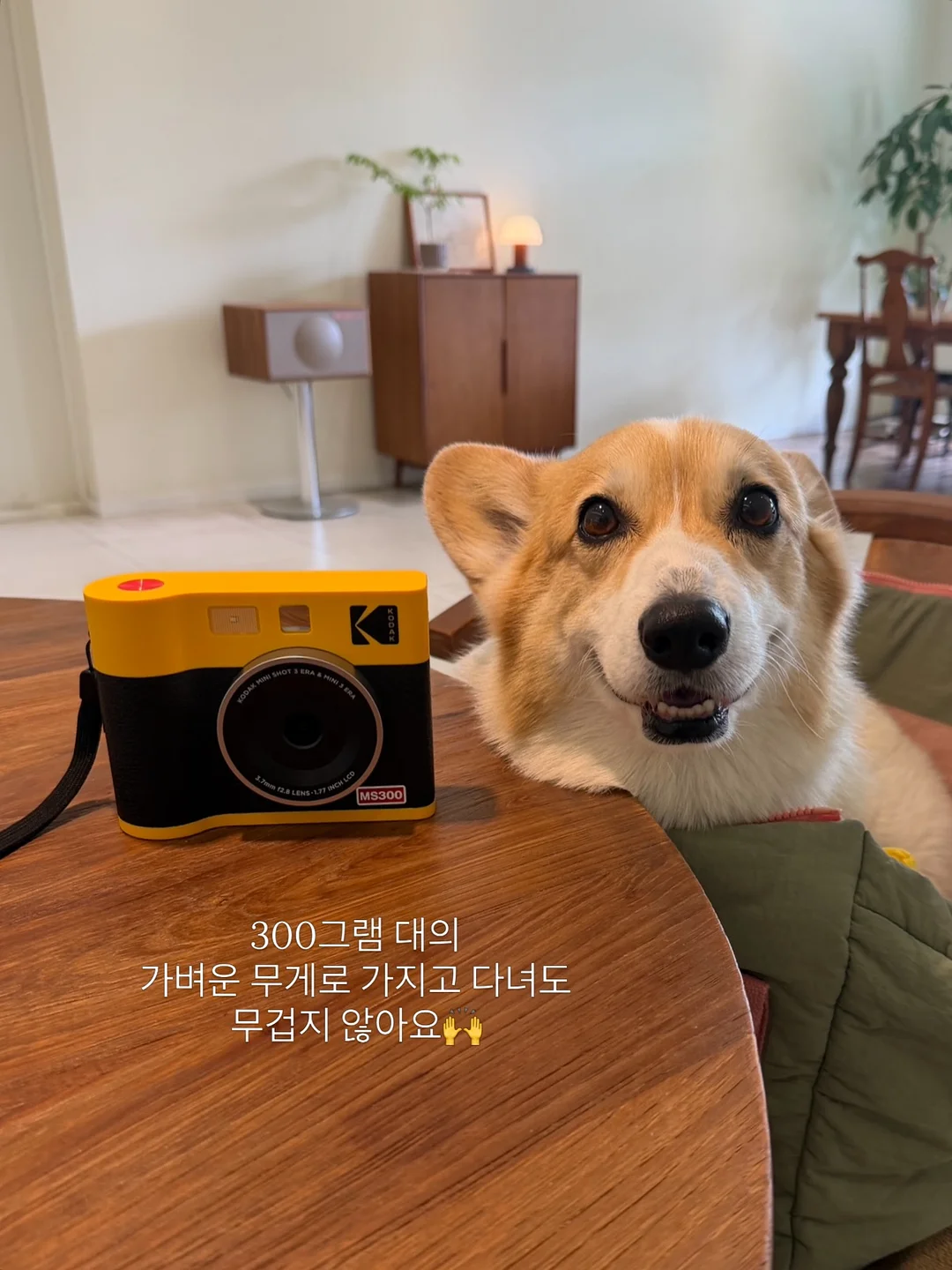 어리조 썸머패치숏팬츠 9