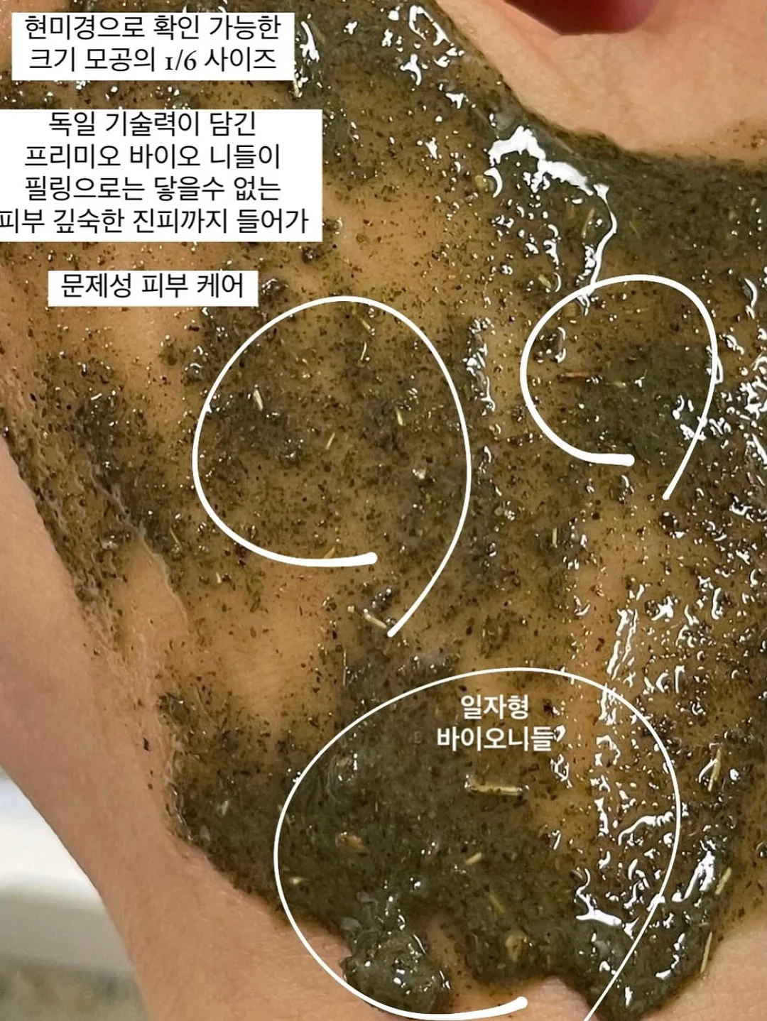 기아타이거즈 응원 도어벨 11