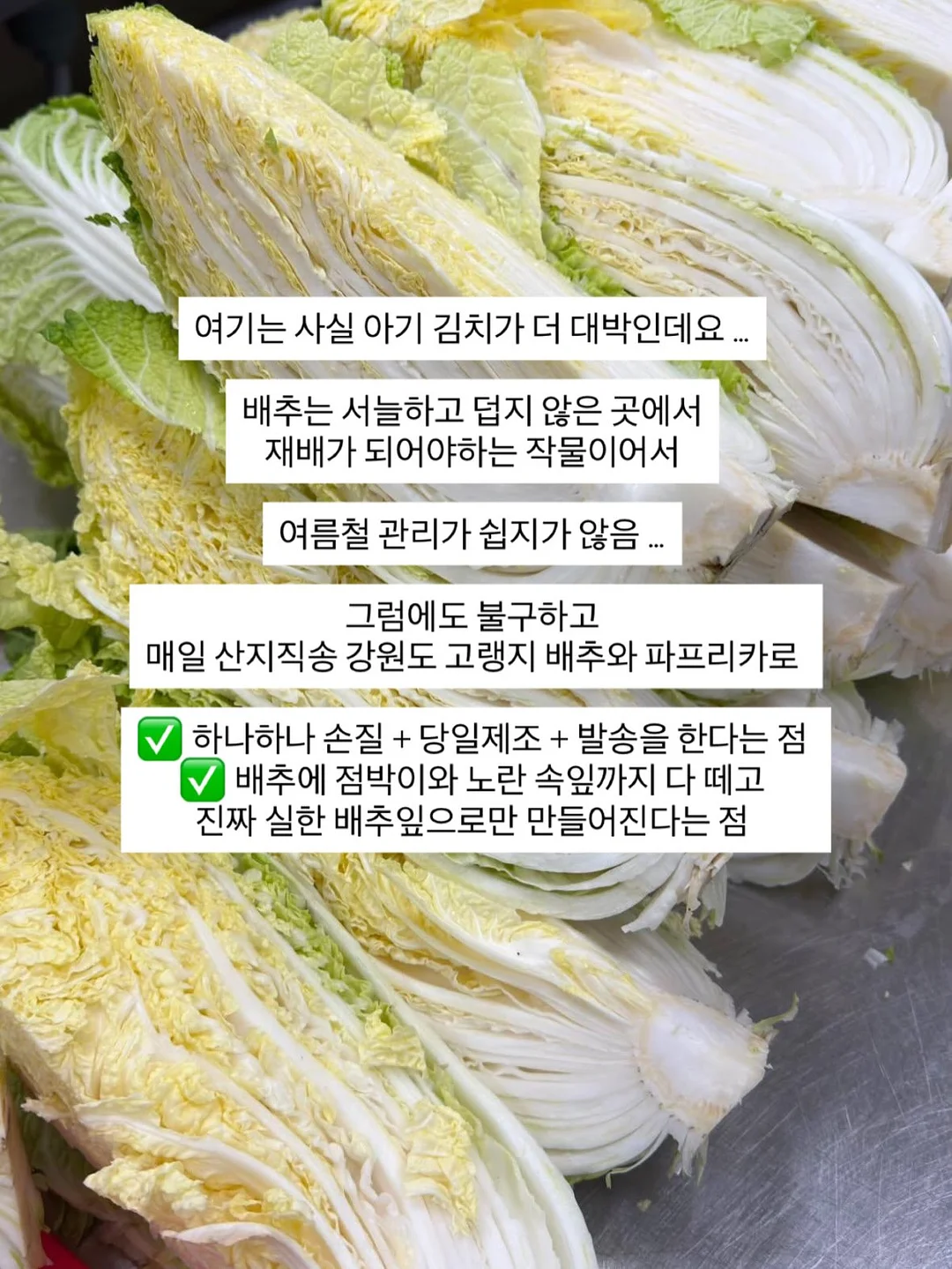 베니비디비치 오레오 코스튬 세트 9