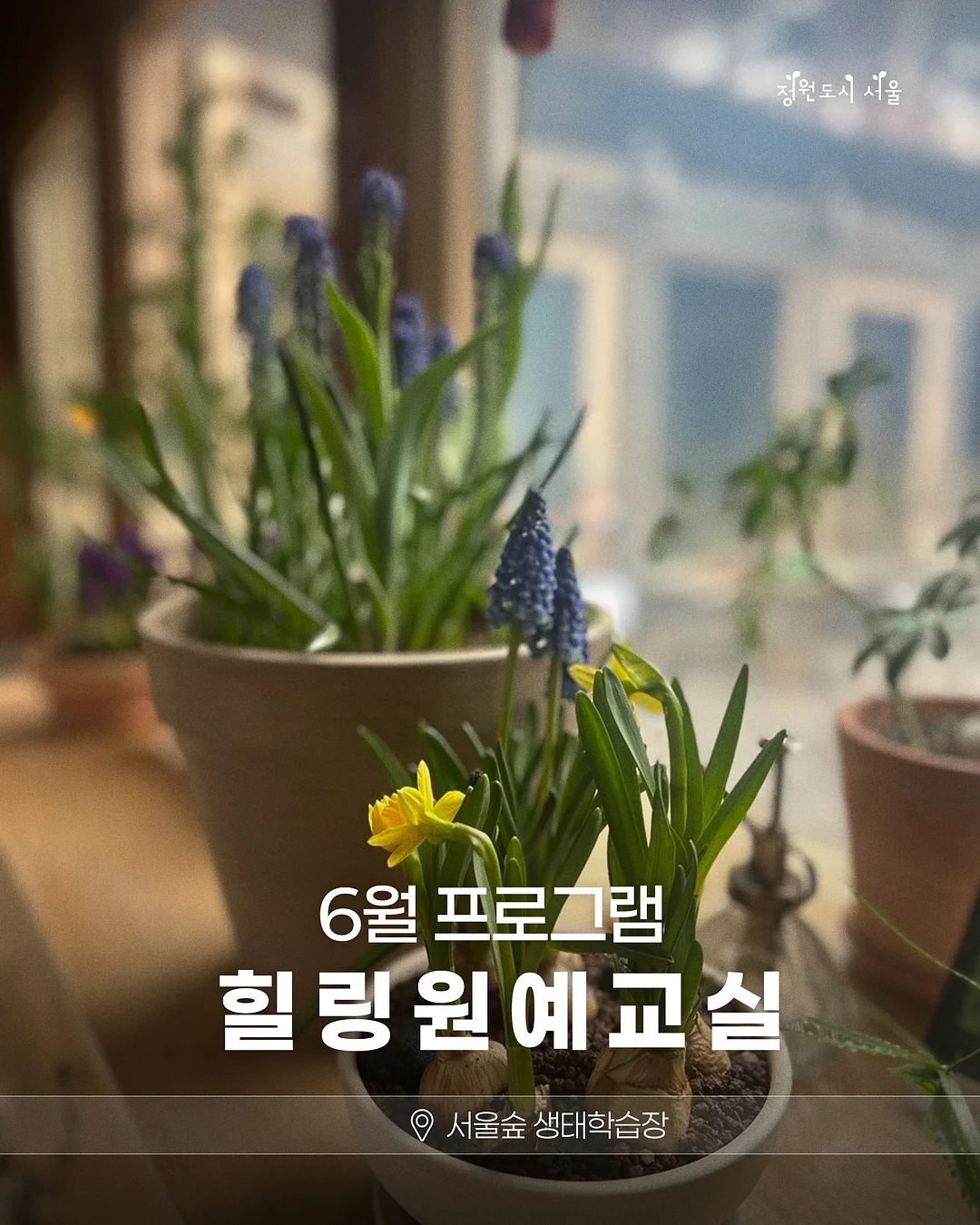 국내의류 1