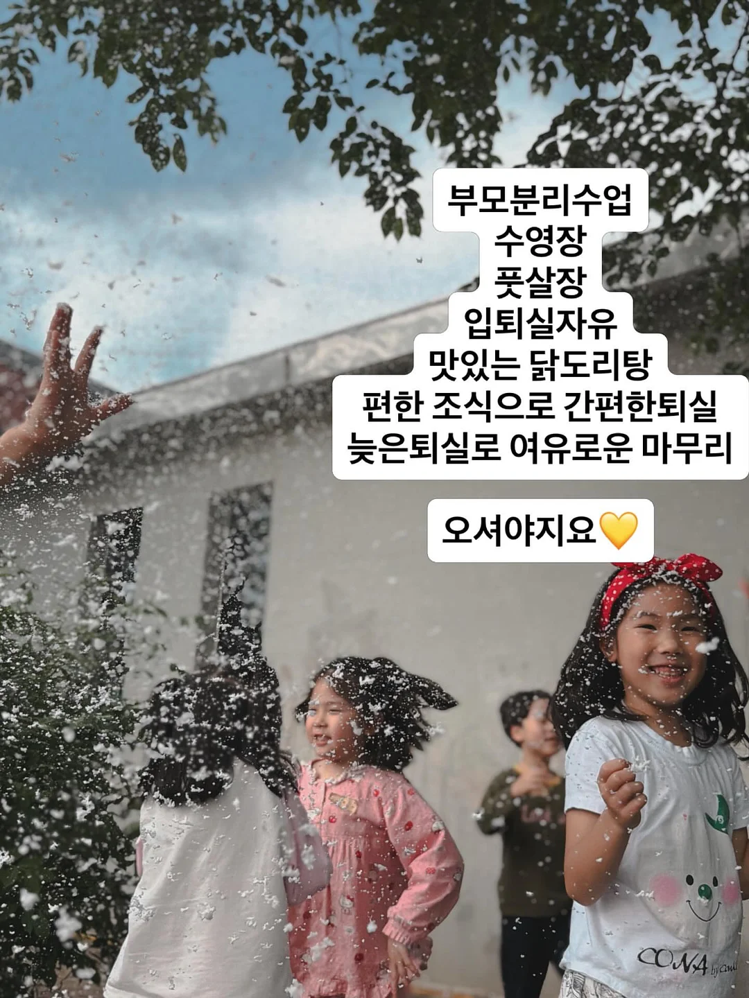 곤충박사/동물농장/꽃블럭 1