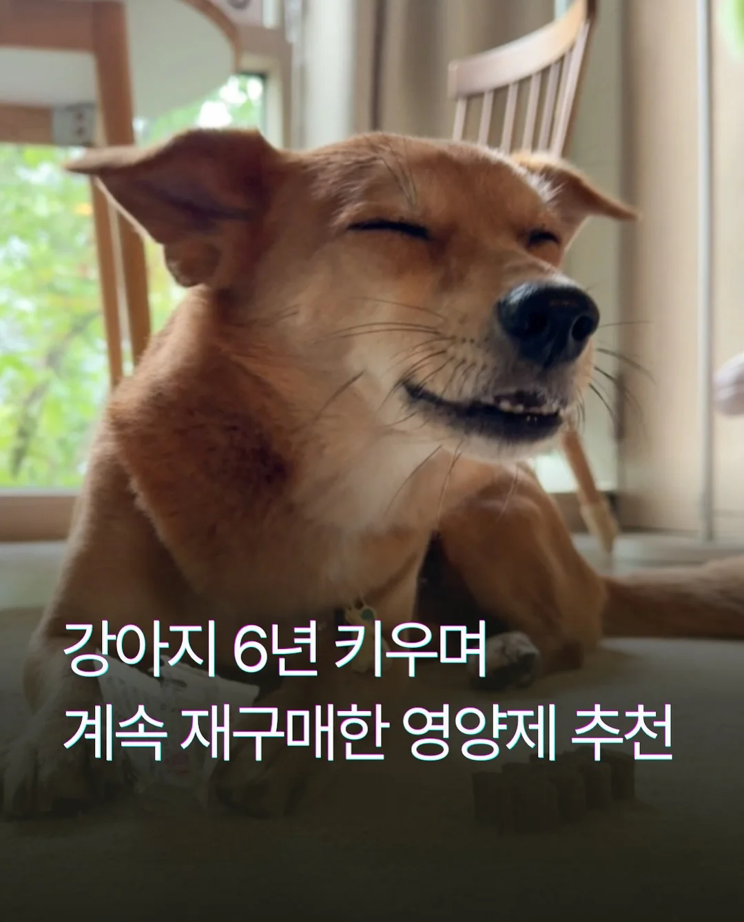 걸음마 샌들 1