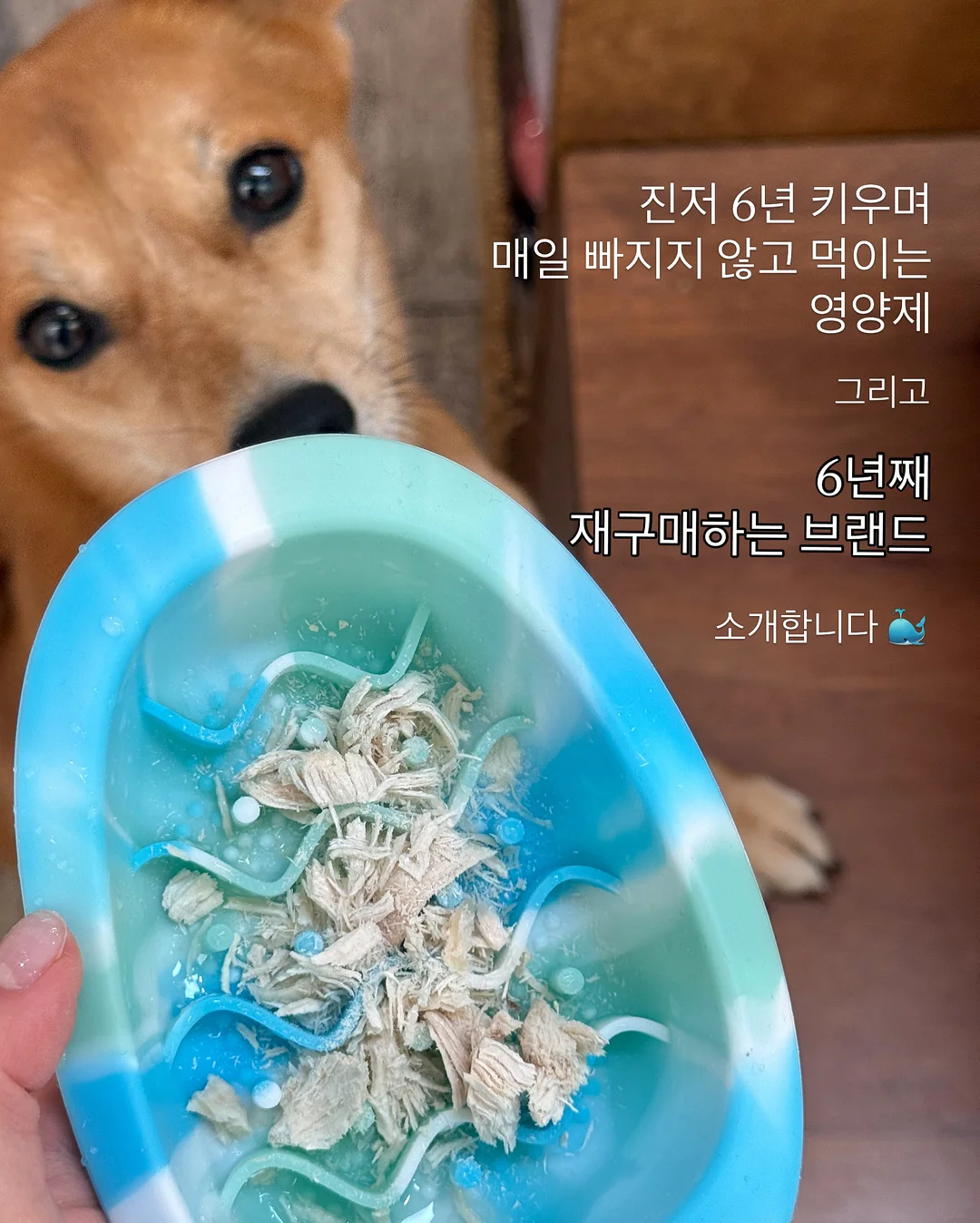 걸음마 샌들 2