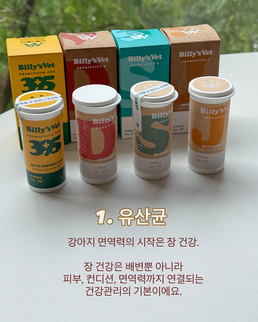 걸음마 샌들 3
