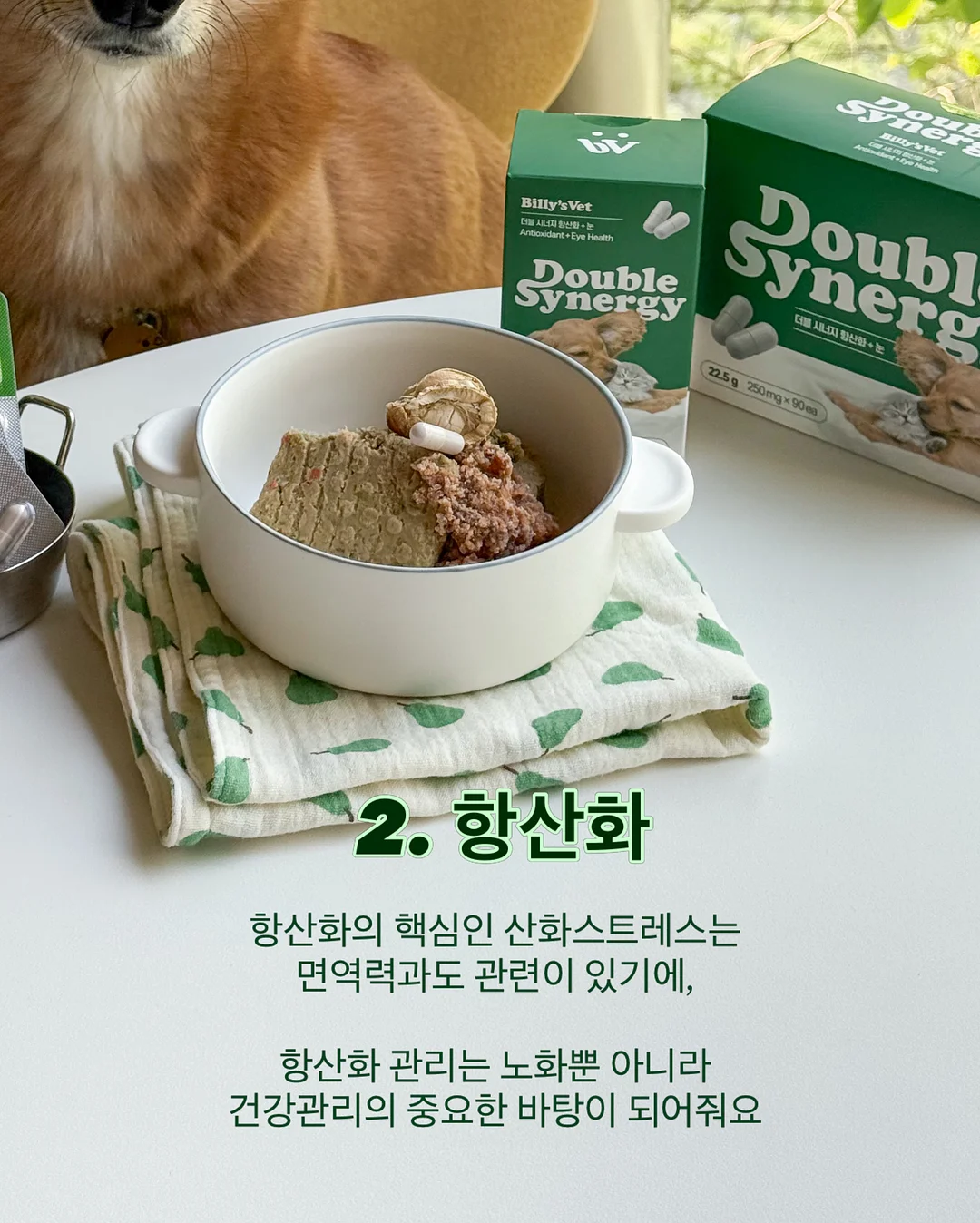 걸음마 샌들 4