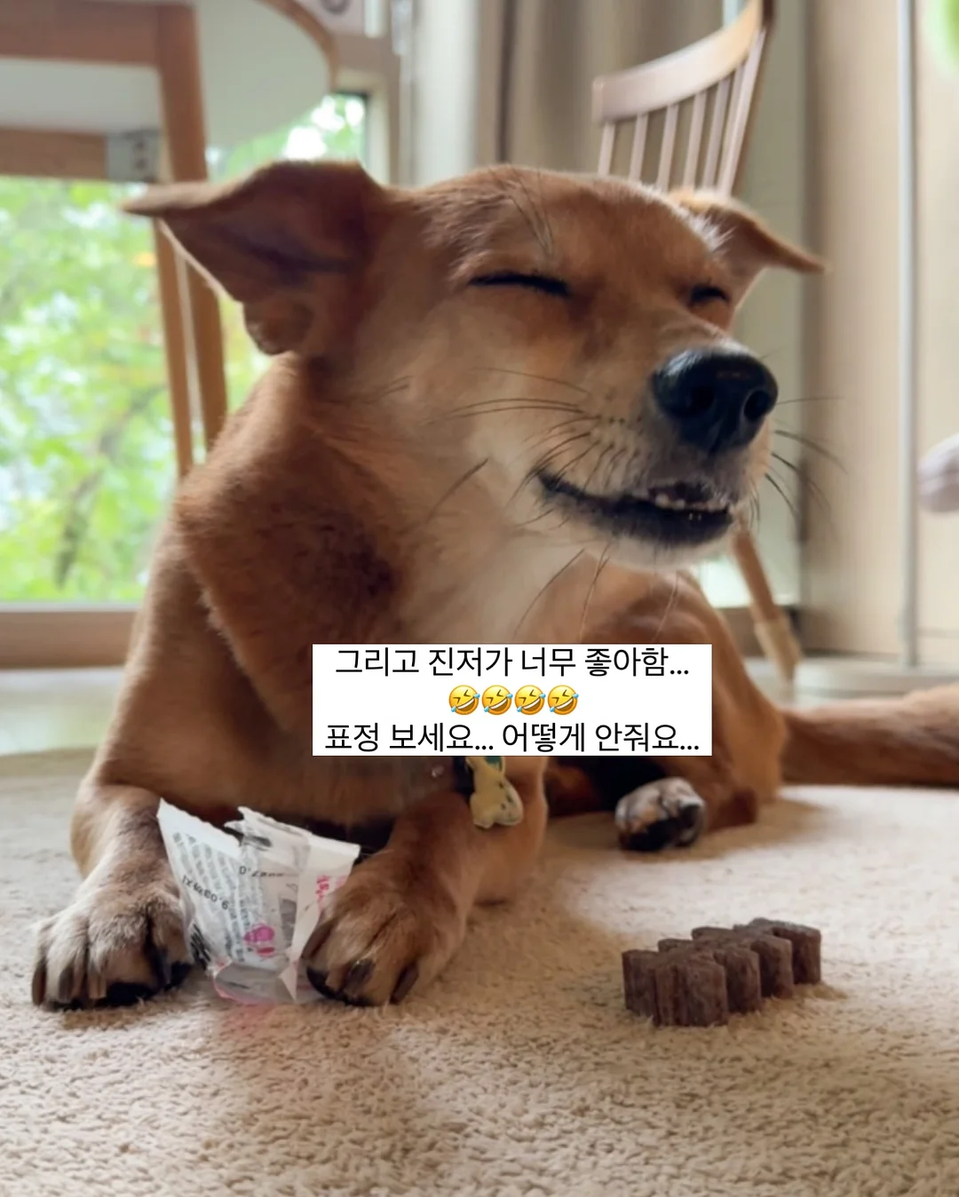 걸음마 샌들 10