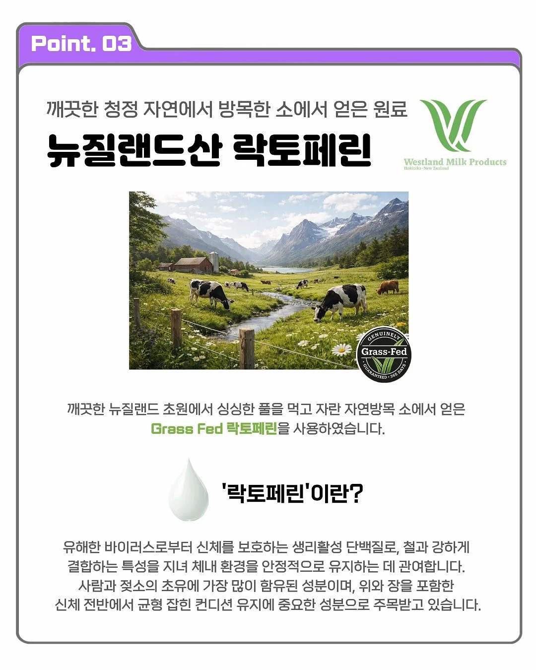 8월 취업 컨설팅 8