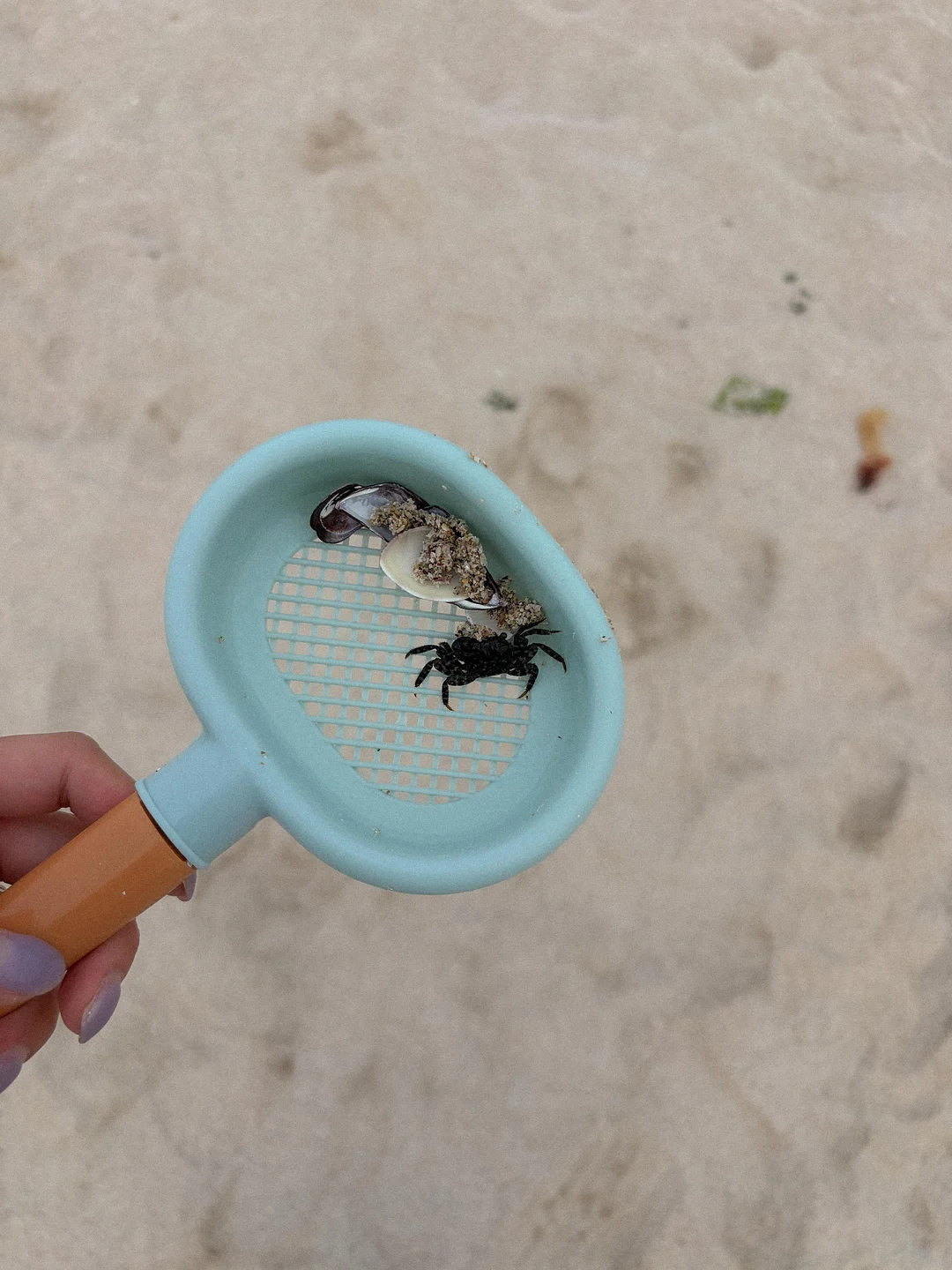 커브밸티드팬츠 10