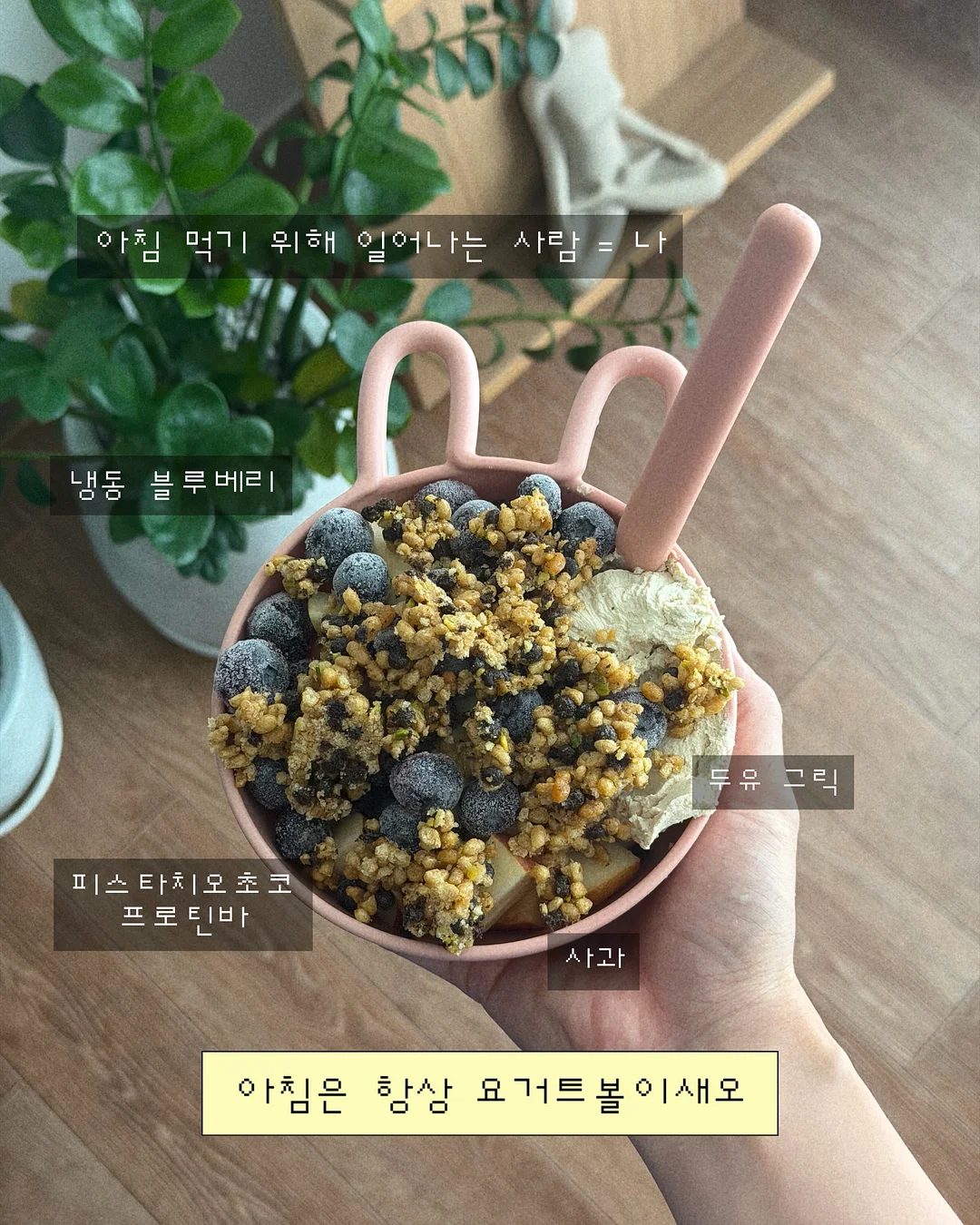 프리지아 리스 3