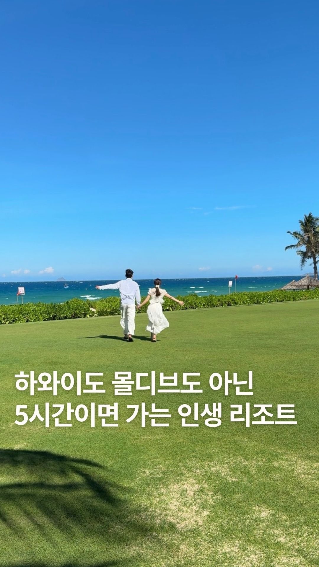 여름 신상