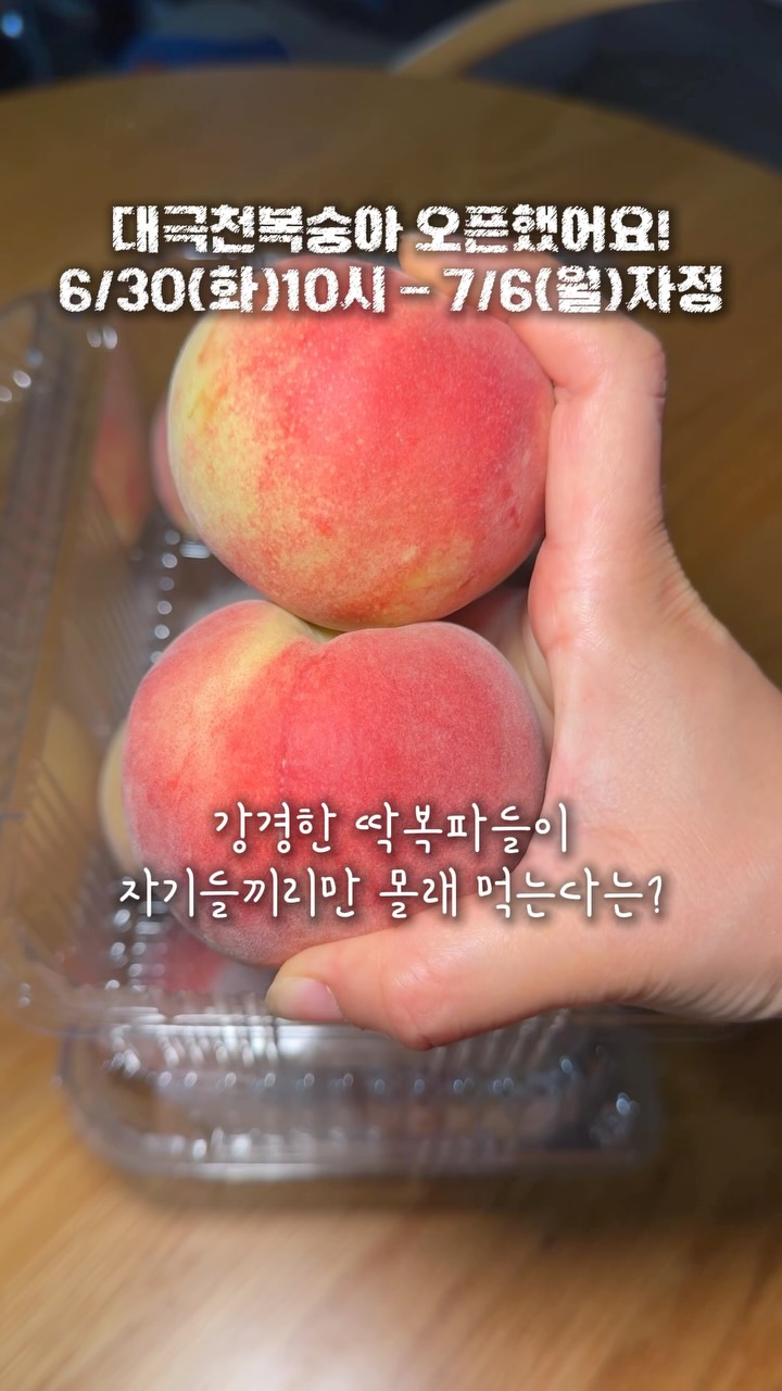 애프터눈티 세트