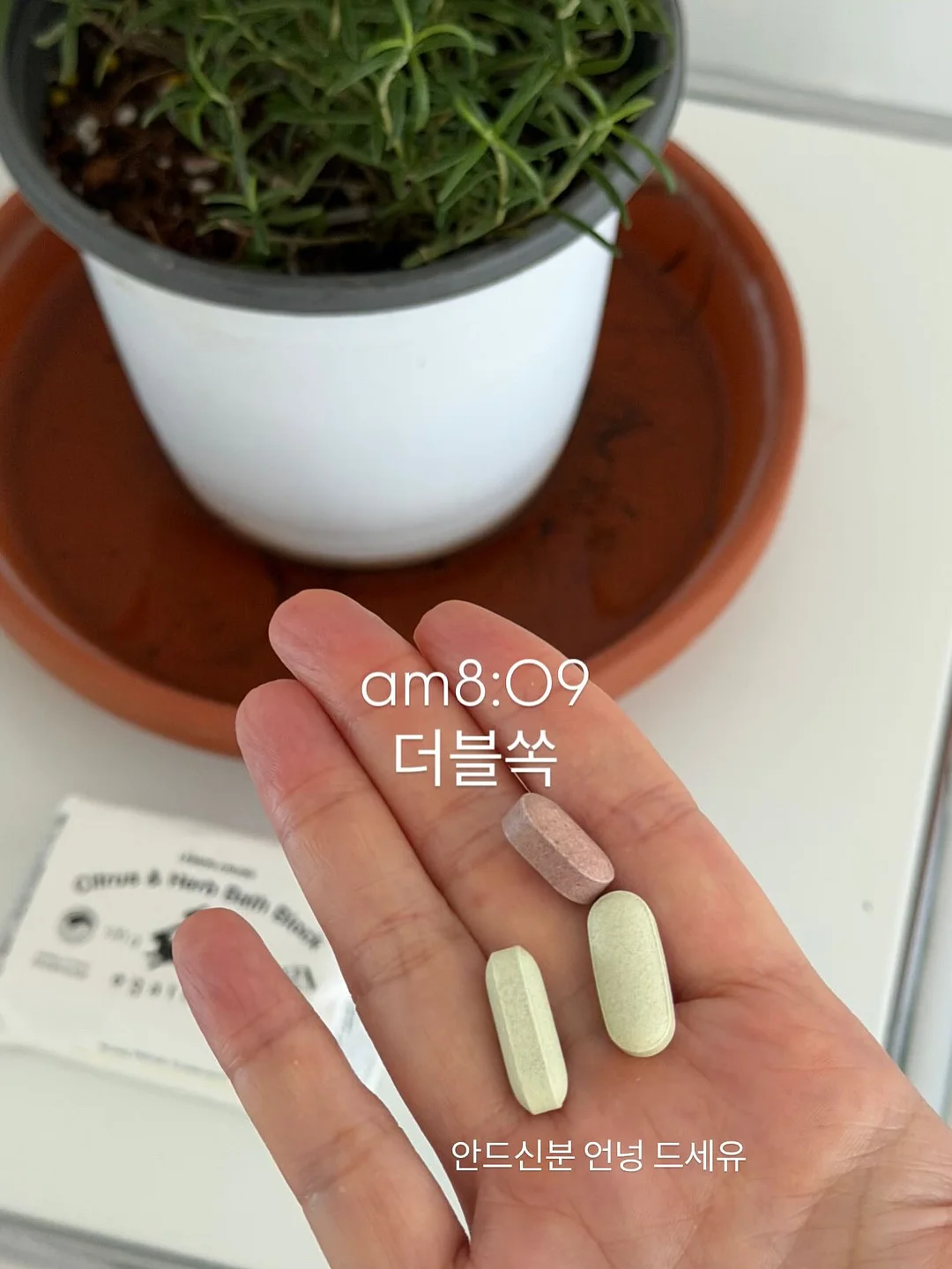 브레빌 머신 클리너 15