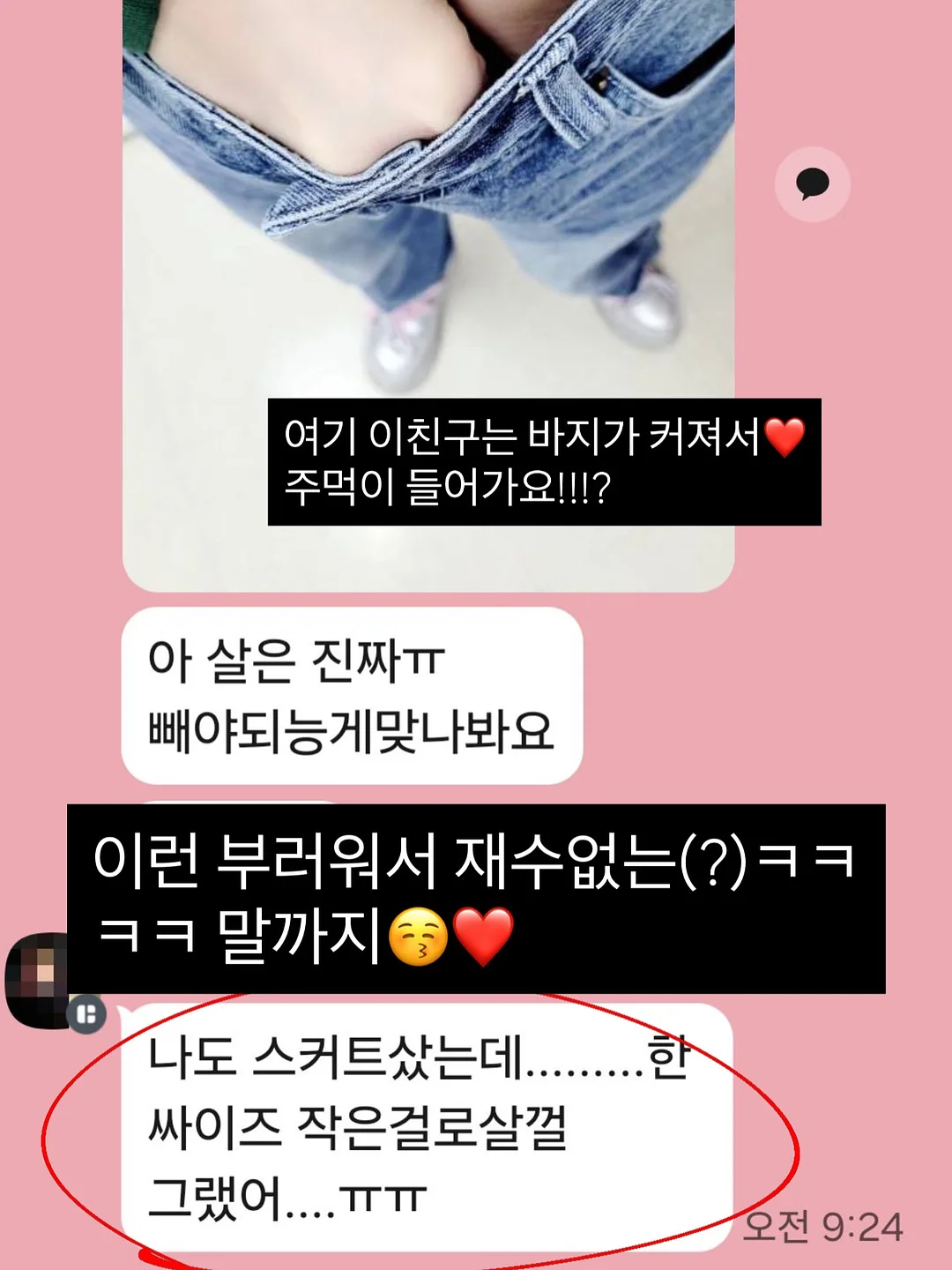 브레빌 머신 클리너 17