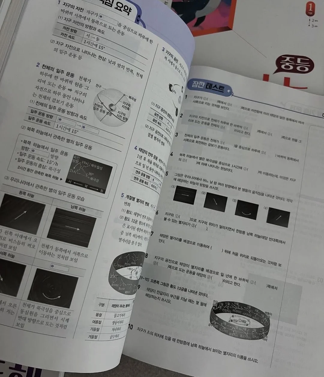크레용티 7