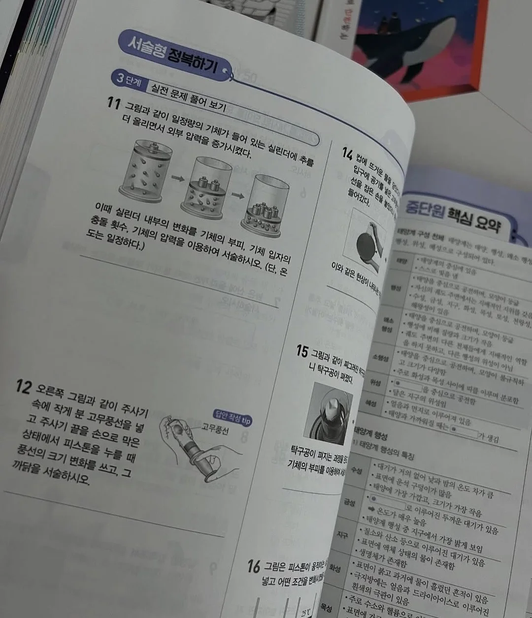 크레용티 8