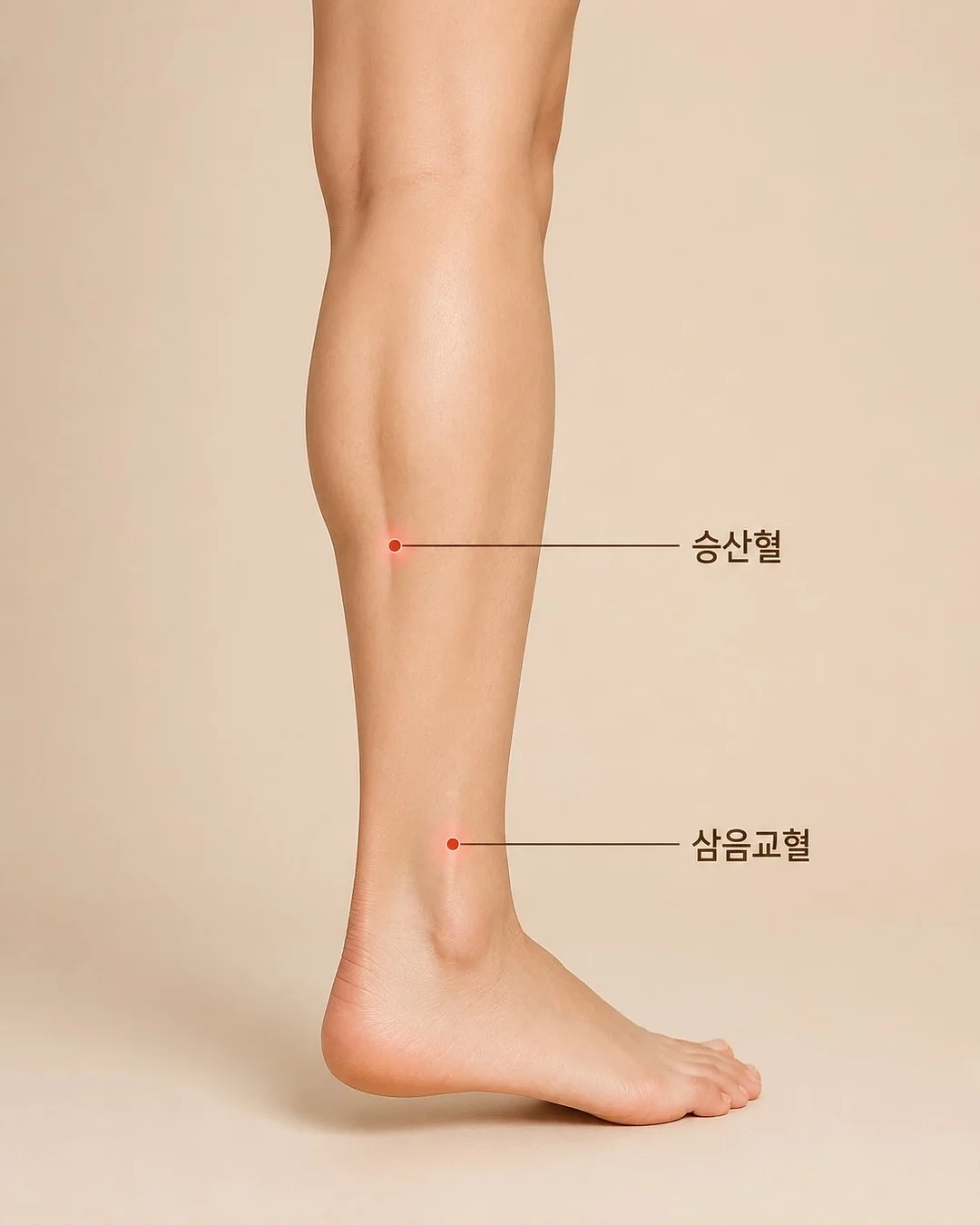 웨이브 수영복 11