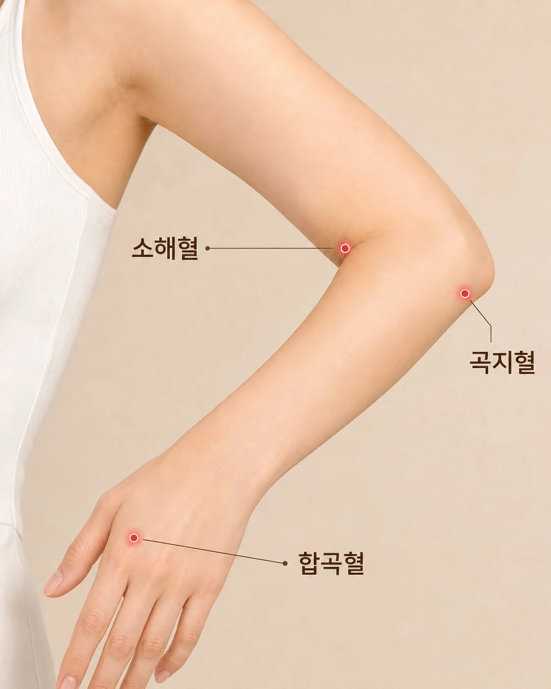 웨이브 수영복 8