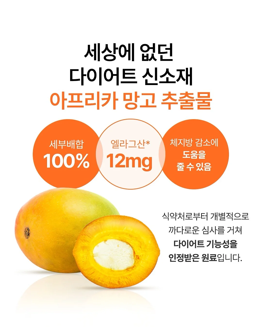 시동 버튼 커버 2