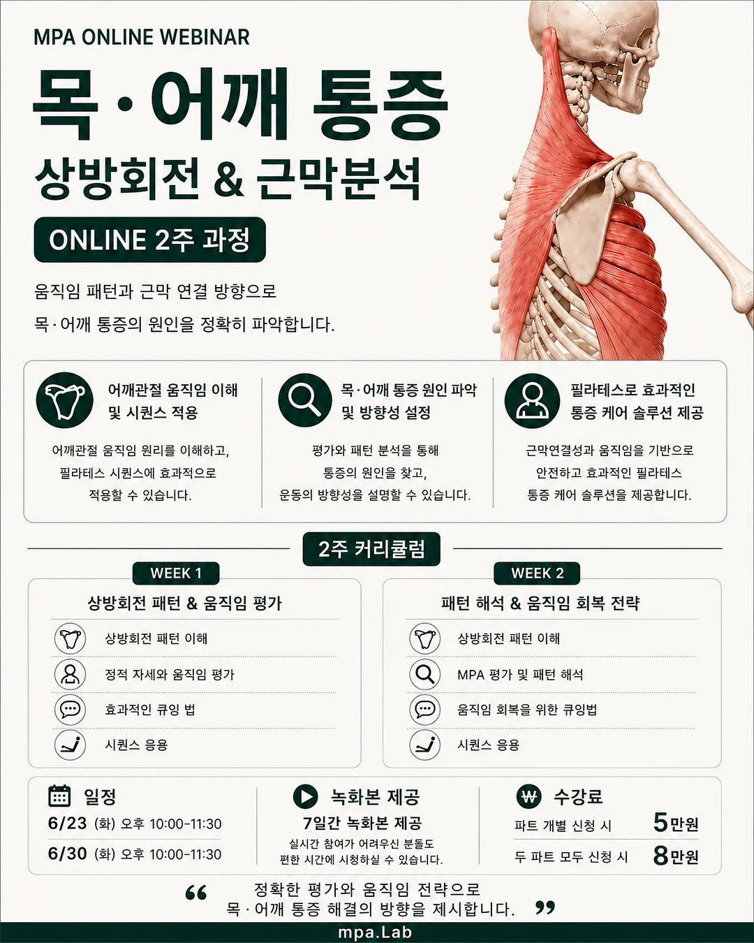 핑크 패치 똑딱핀