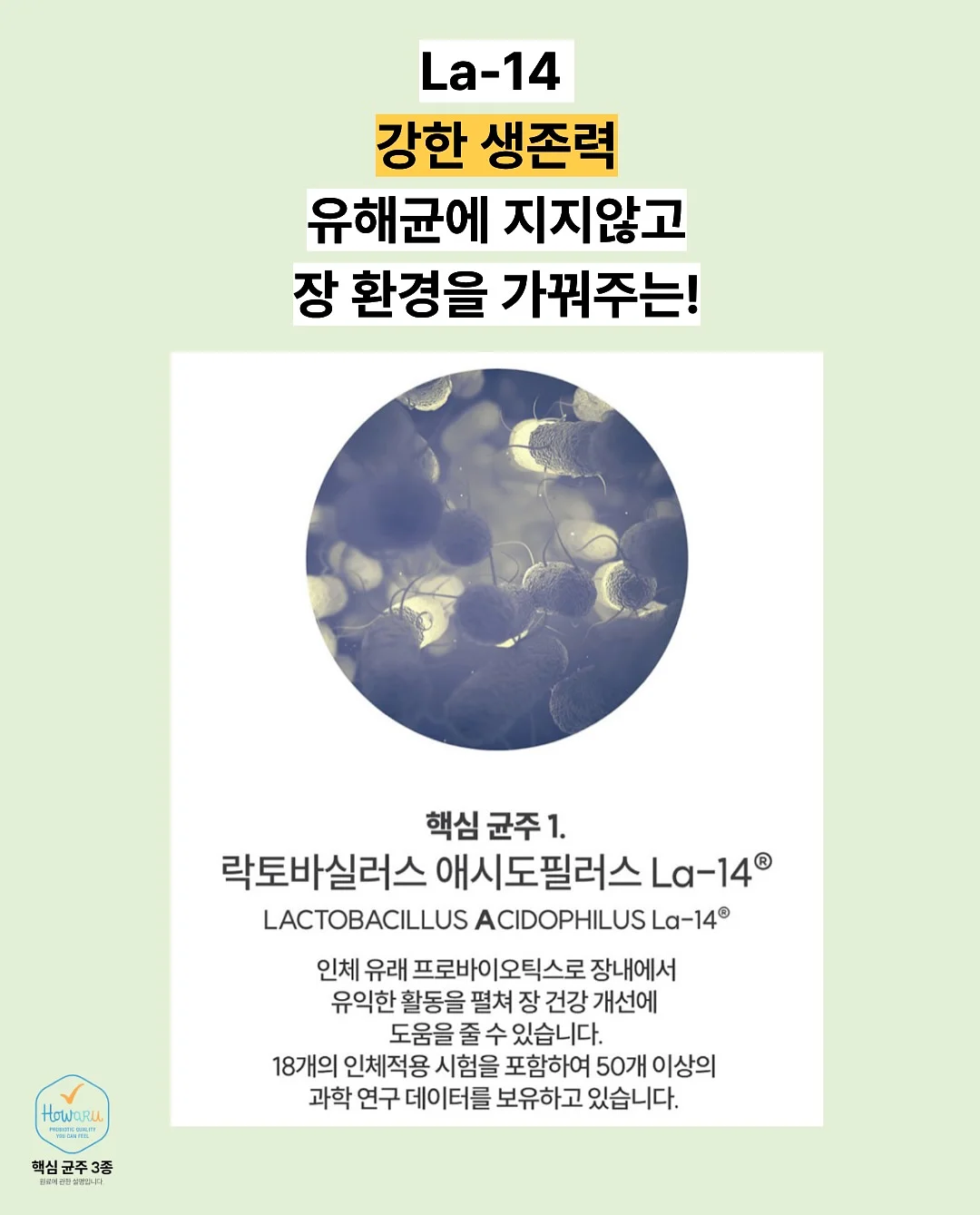 탄산 아이스컵 8