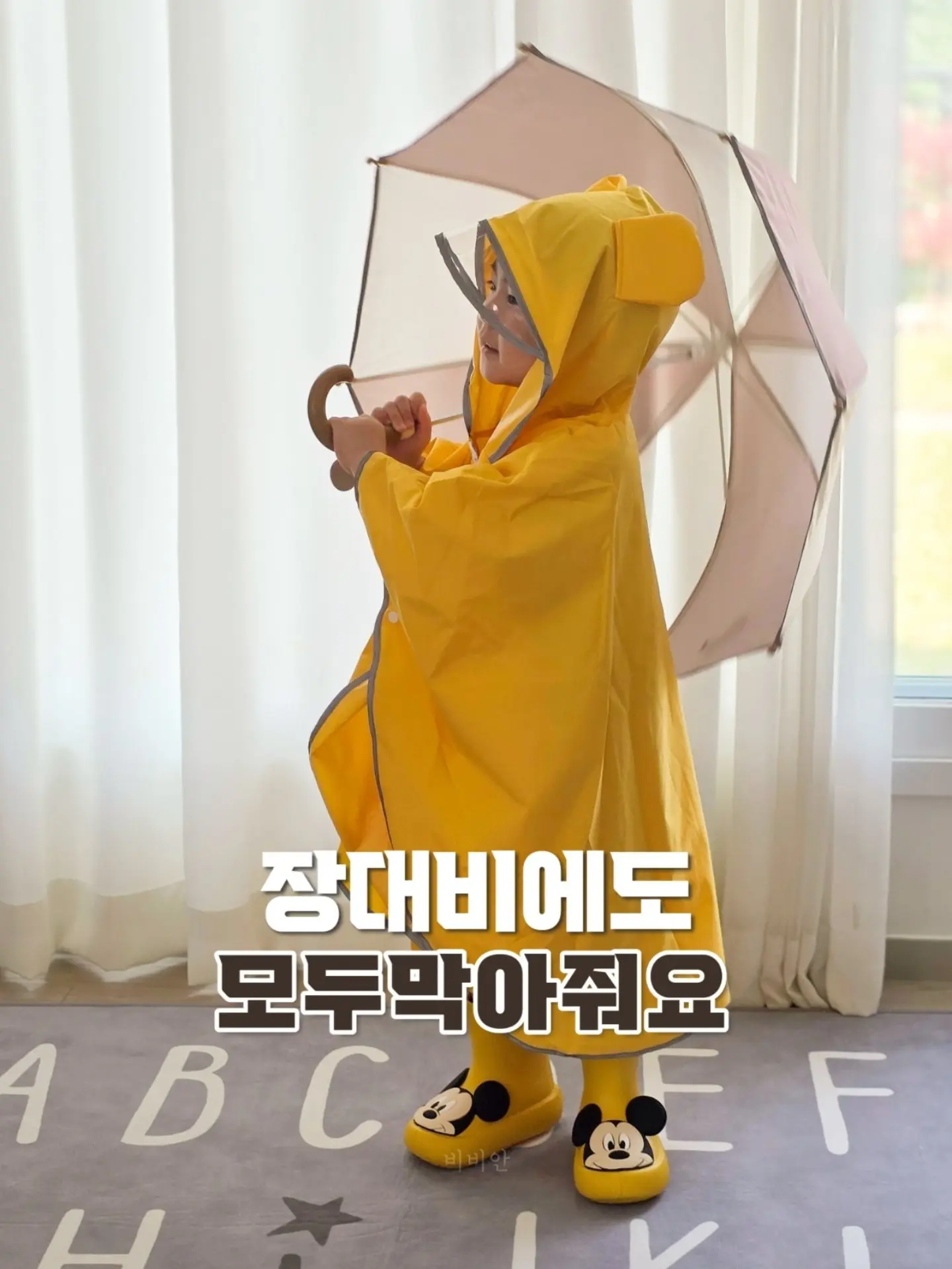 그래가 멤버십 6