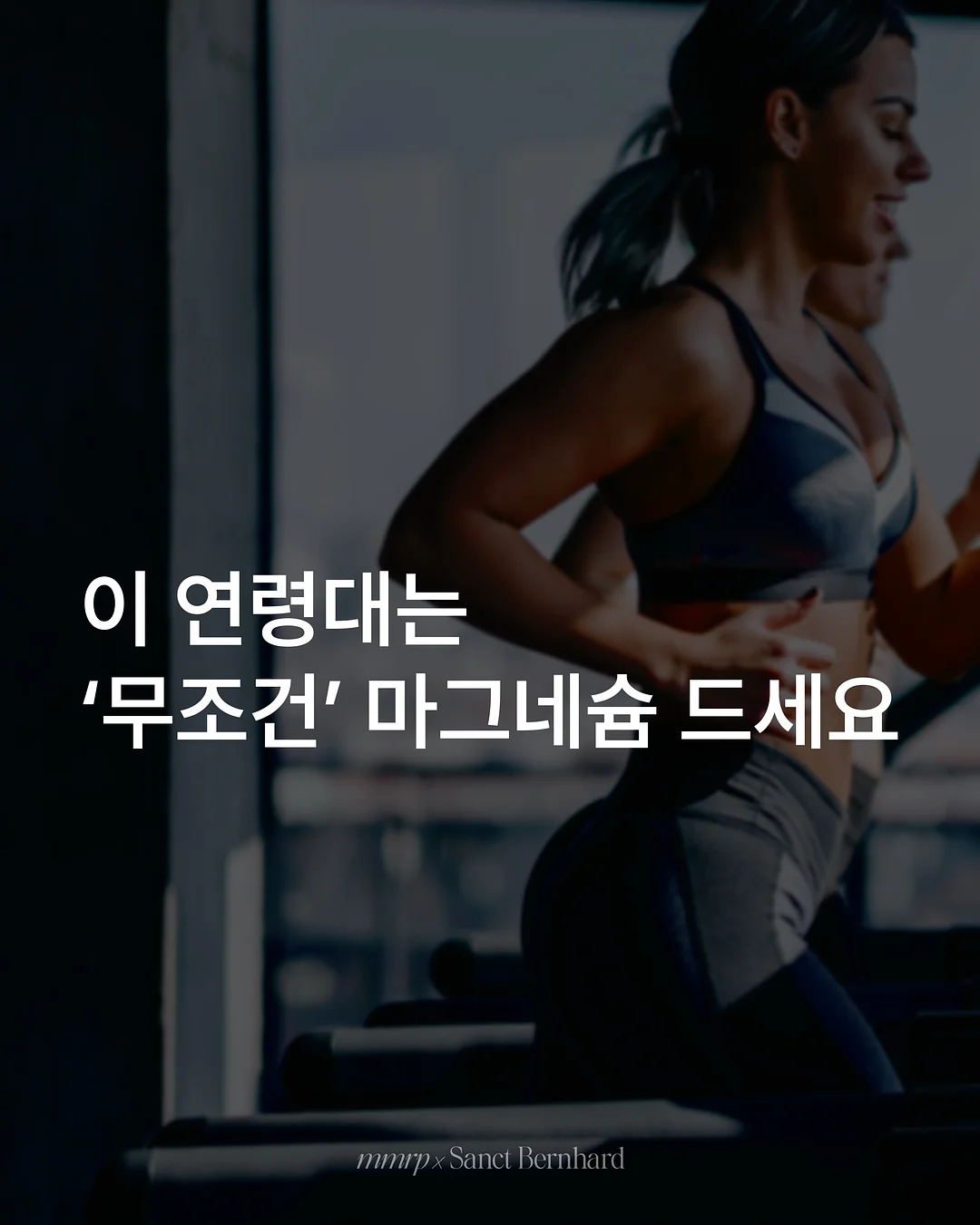 아지크 팩 1