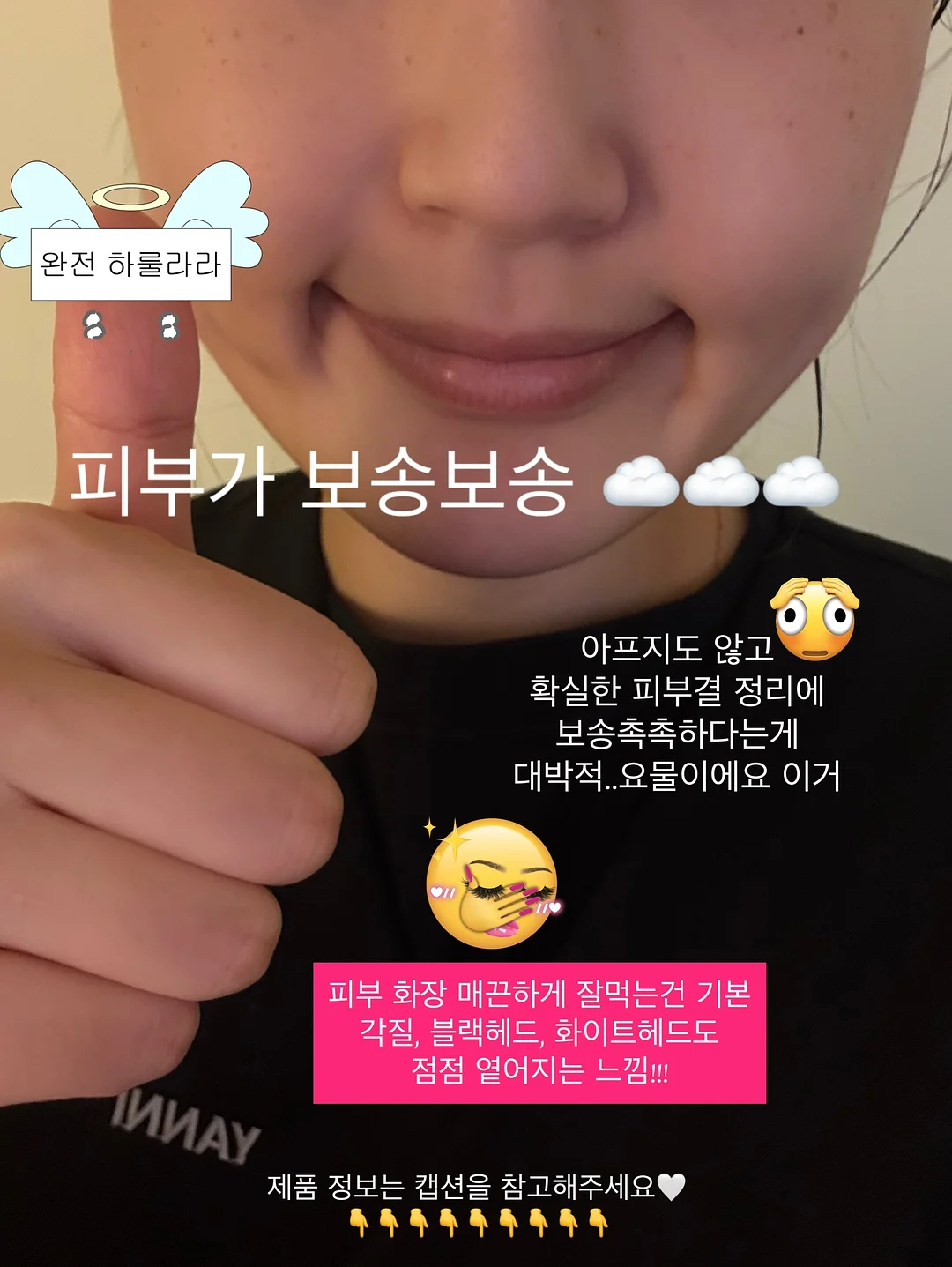 과일찹쌀떡 8