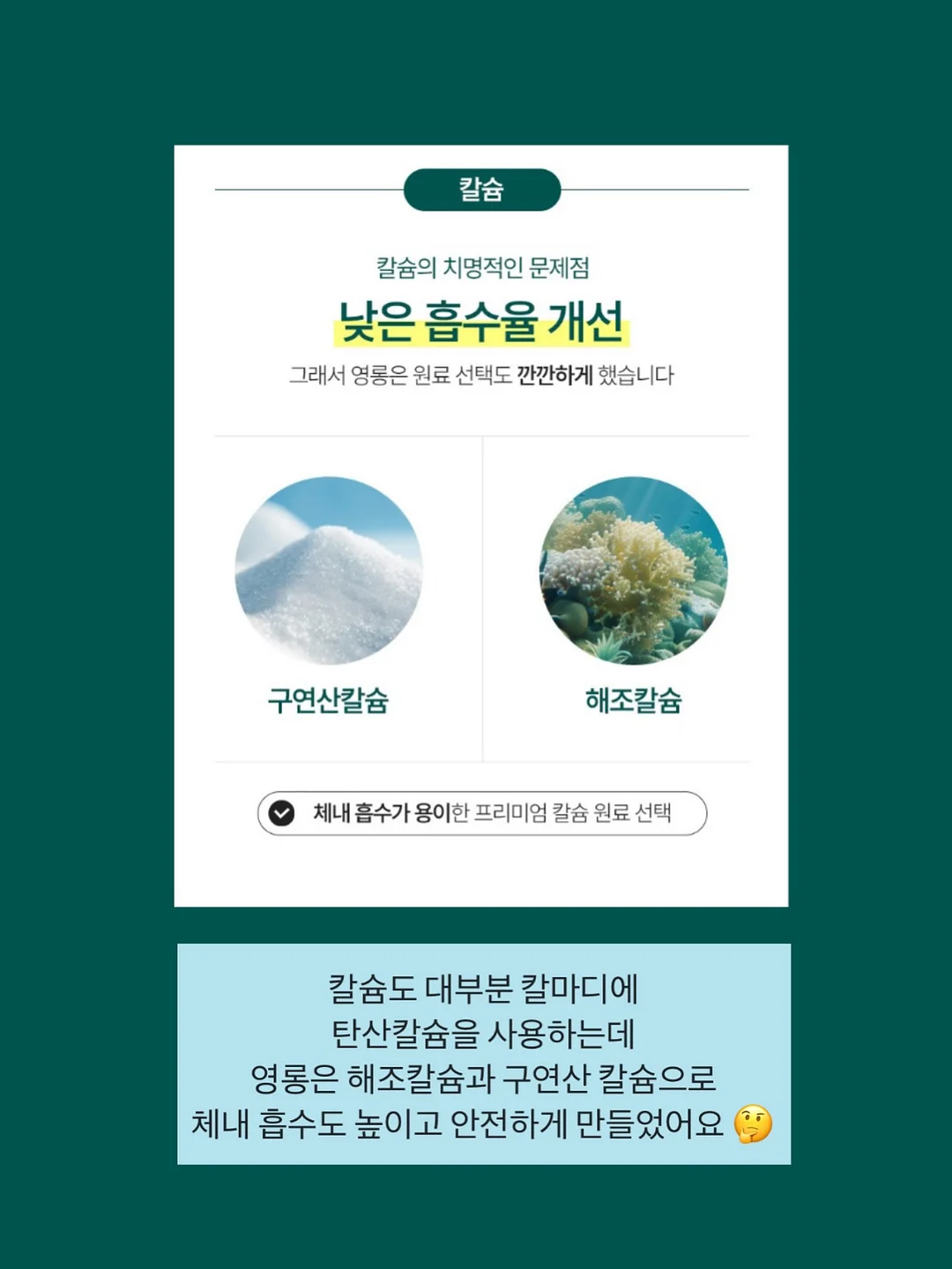 페이퍼프로그램 5