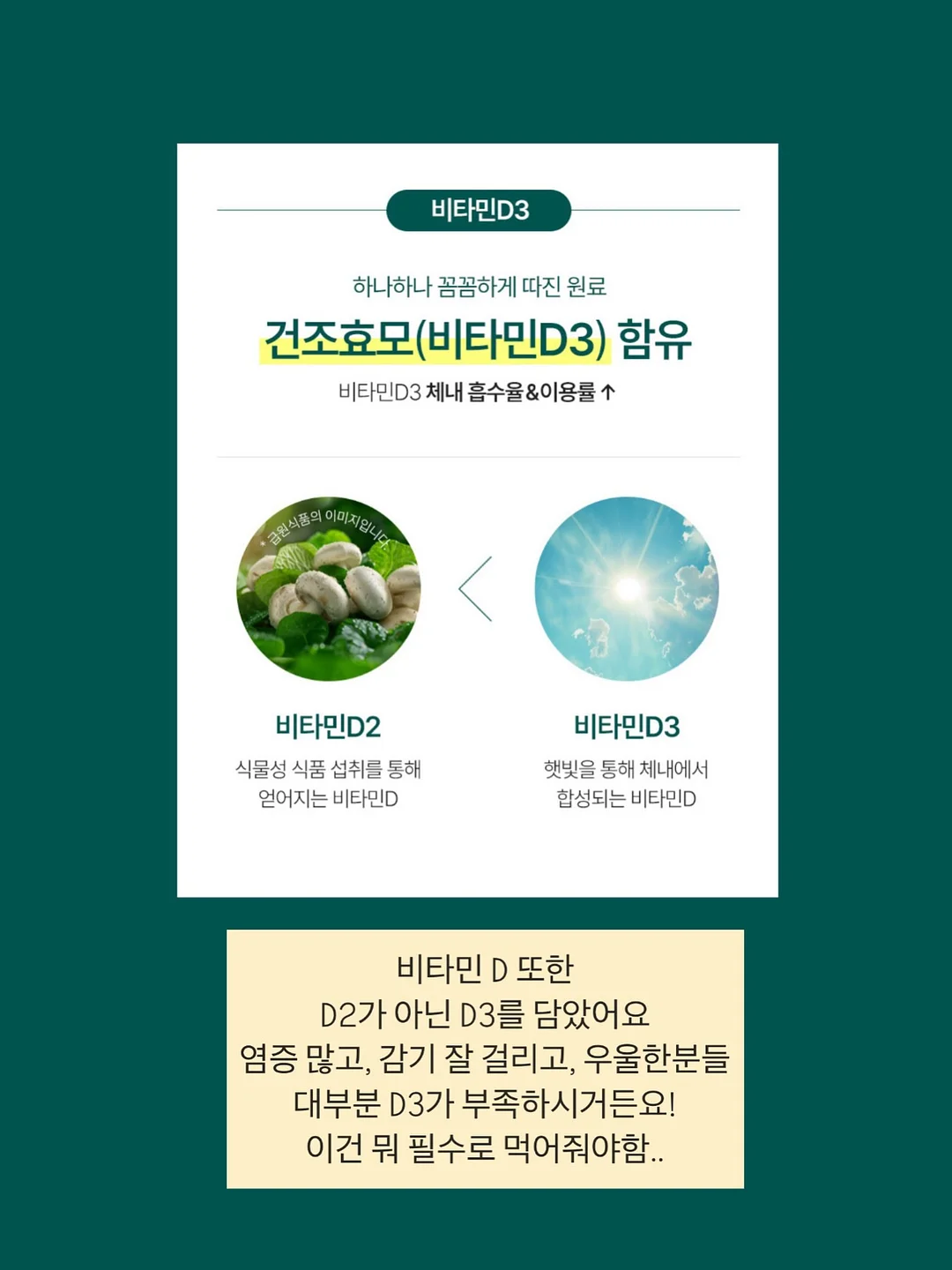 페이퍼프로그램 7